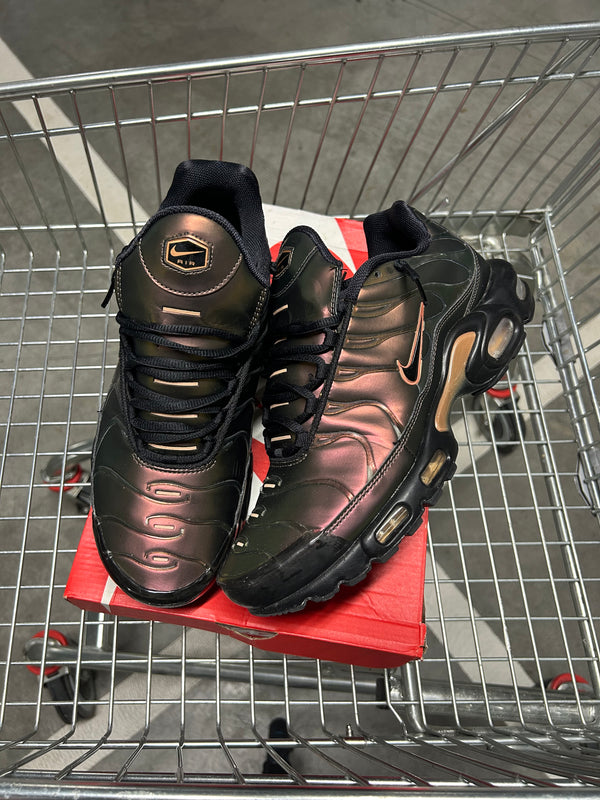 Nike Air Max Plus Scarabs Men’s US10