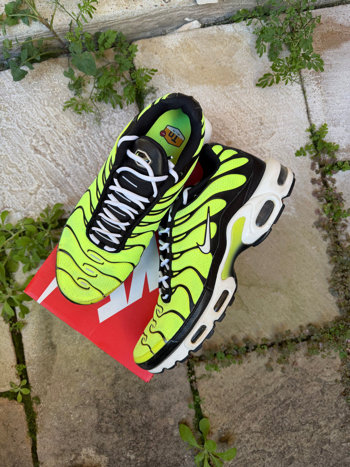 Nike Air Max Plus “Lime Green” US13 Men’s