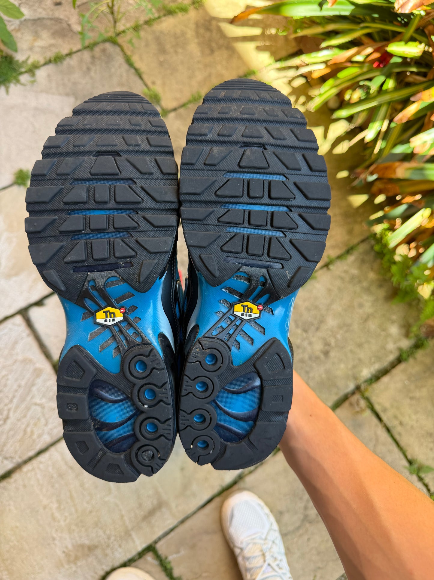 Nike Air Max Plus “Aquarius Blue” US8 Men’s