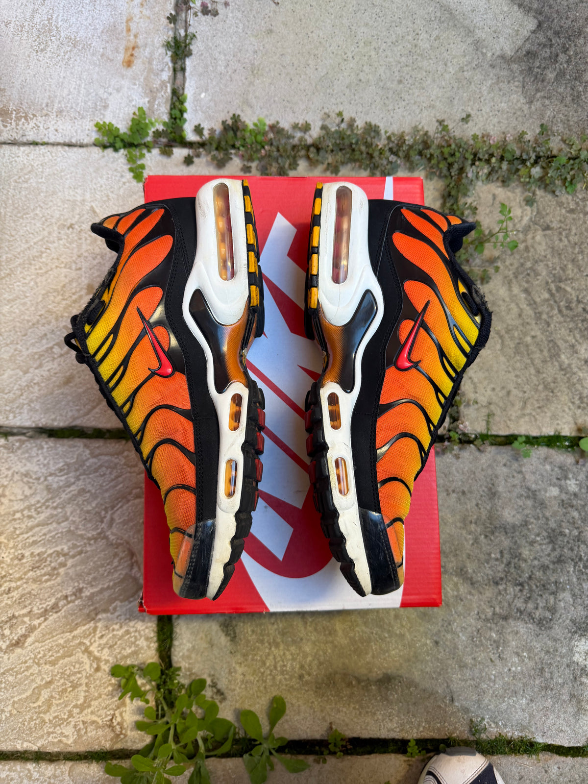 Nike Air Max Plus “Tiger” (2024) US10 Men’s