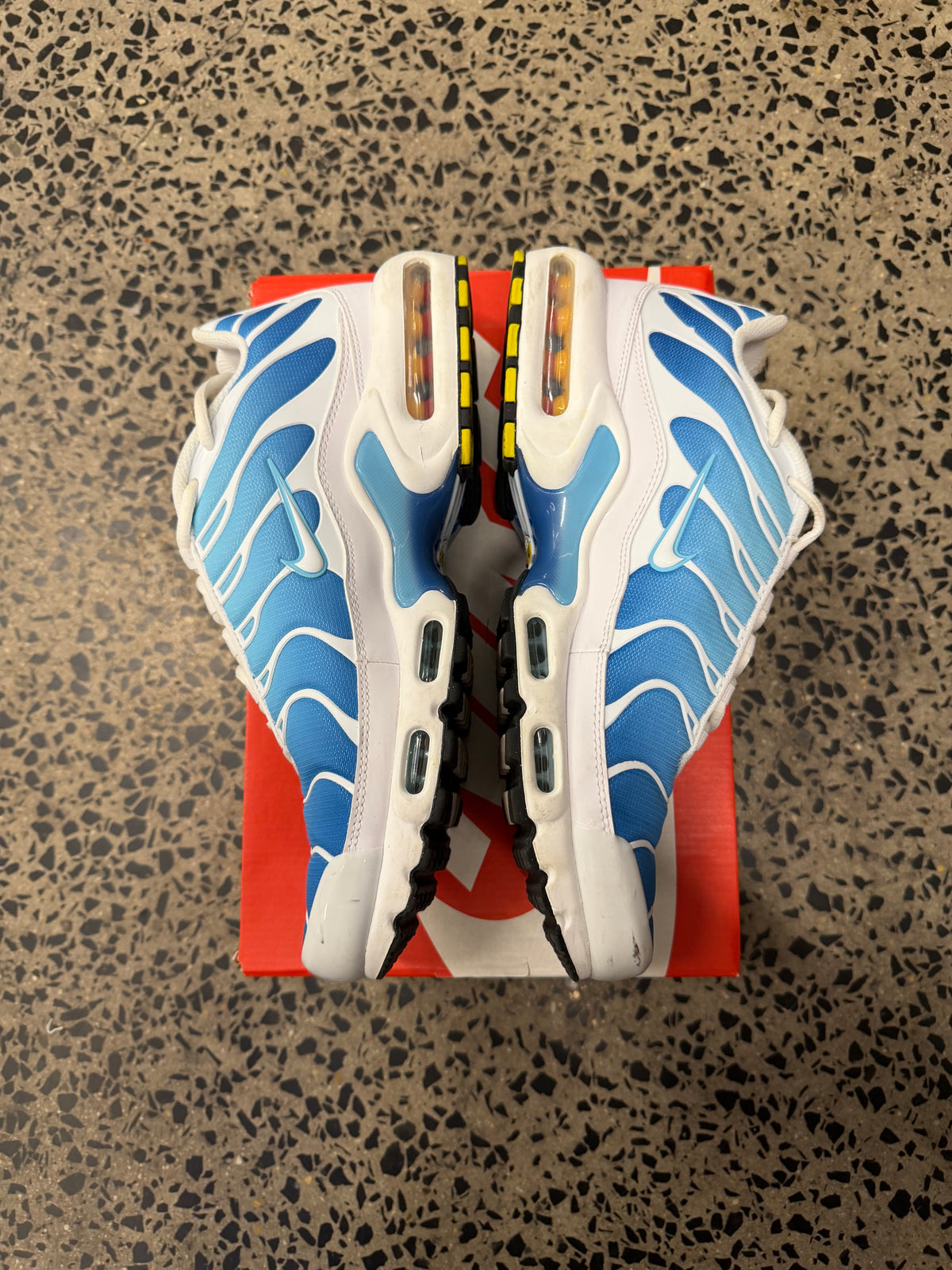 Nike Air Max Plus “Battle Blue” US11 Men’s