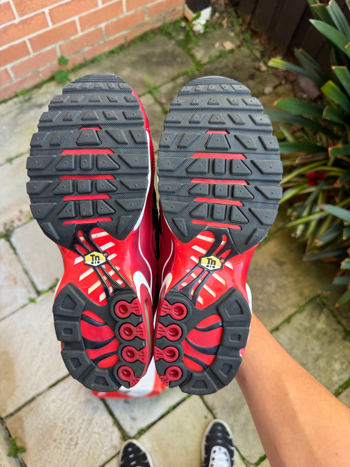 Nike Air Max Plus "Chile Red" US9 Men's