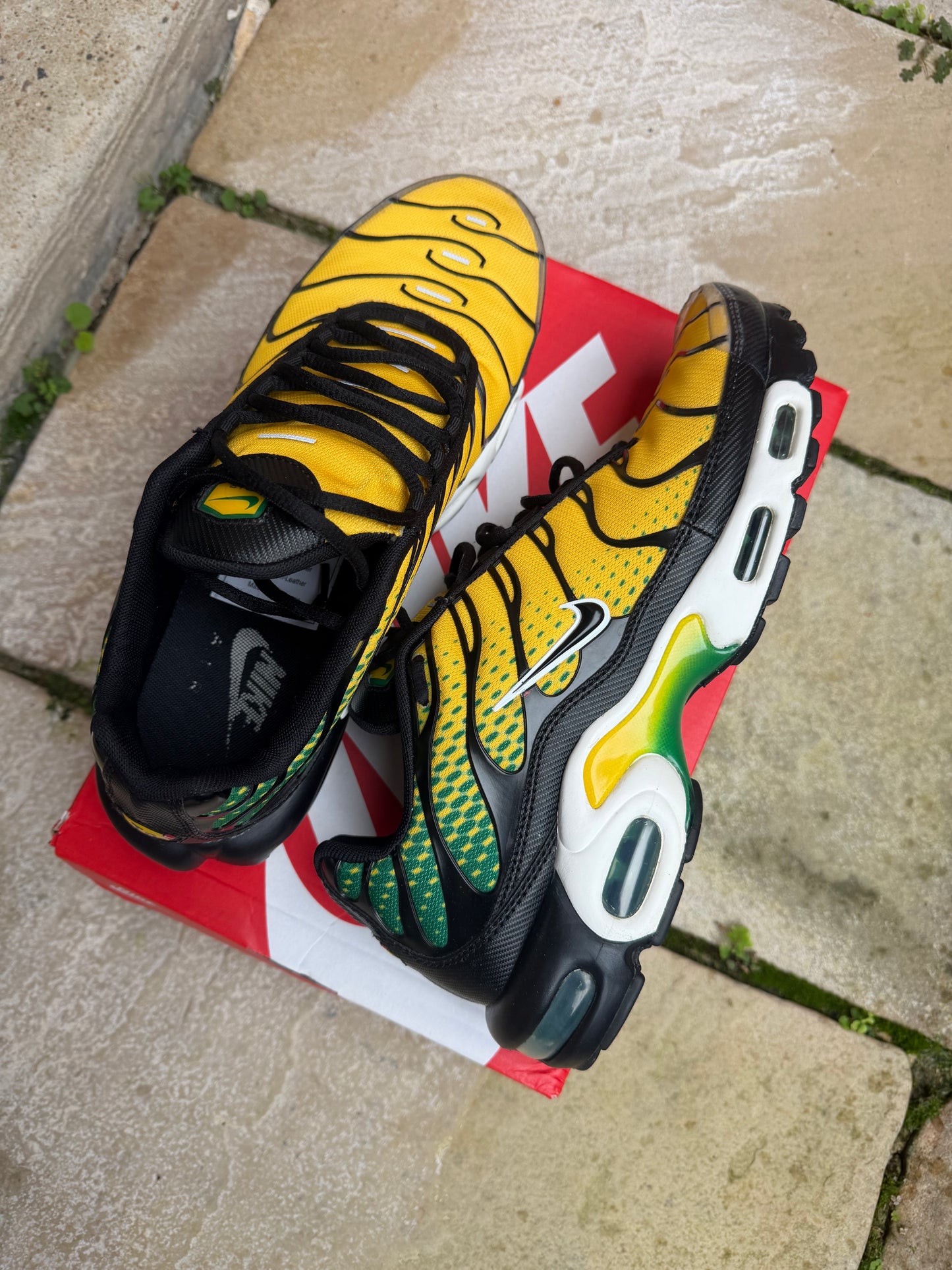 Nike Air Max Plus “Brazil” US11