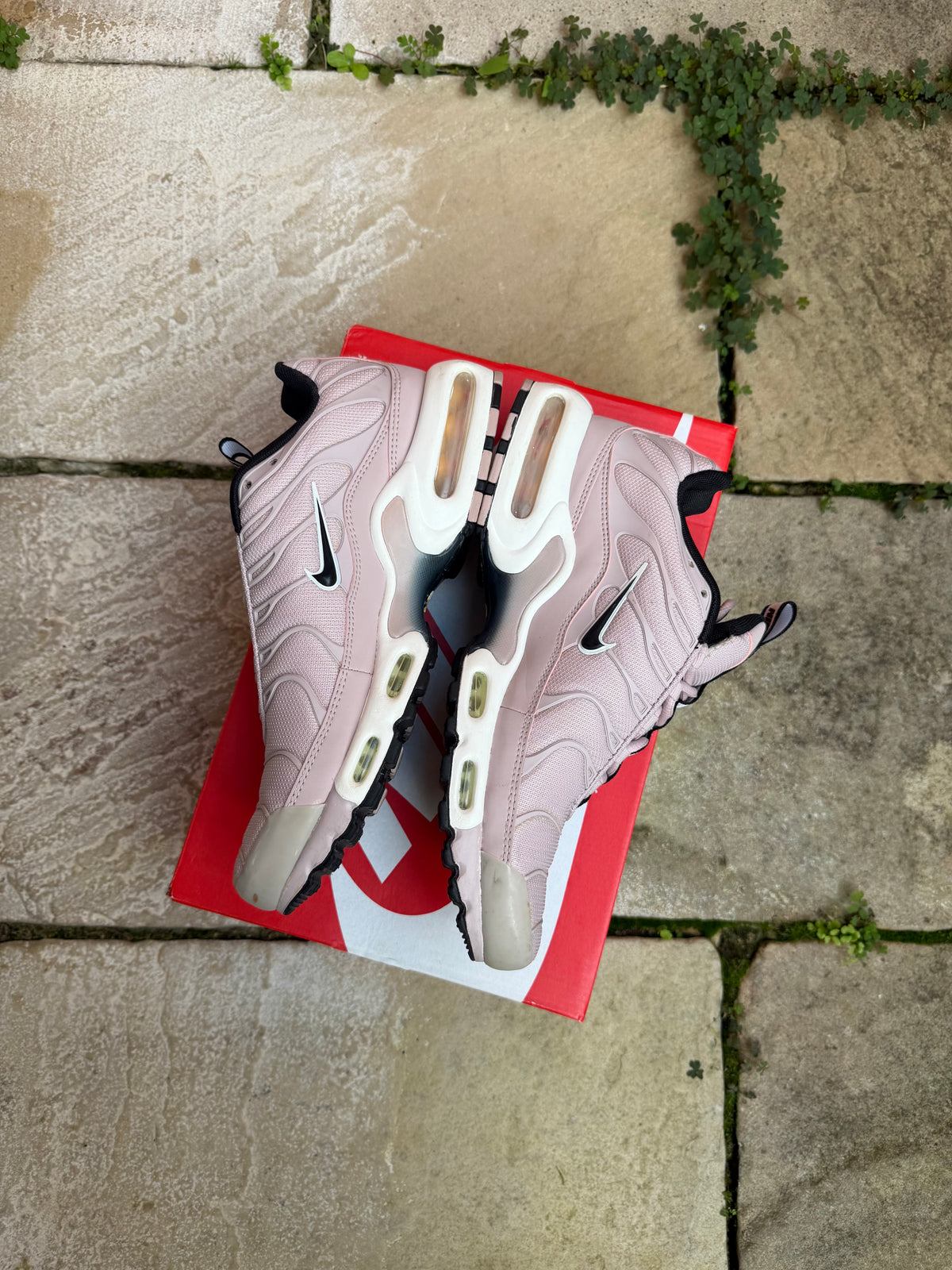 Nike Air Max Plus "Arctic Pink" US9 Men's