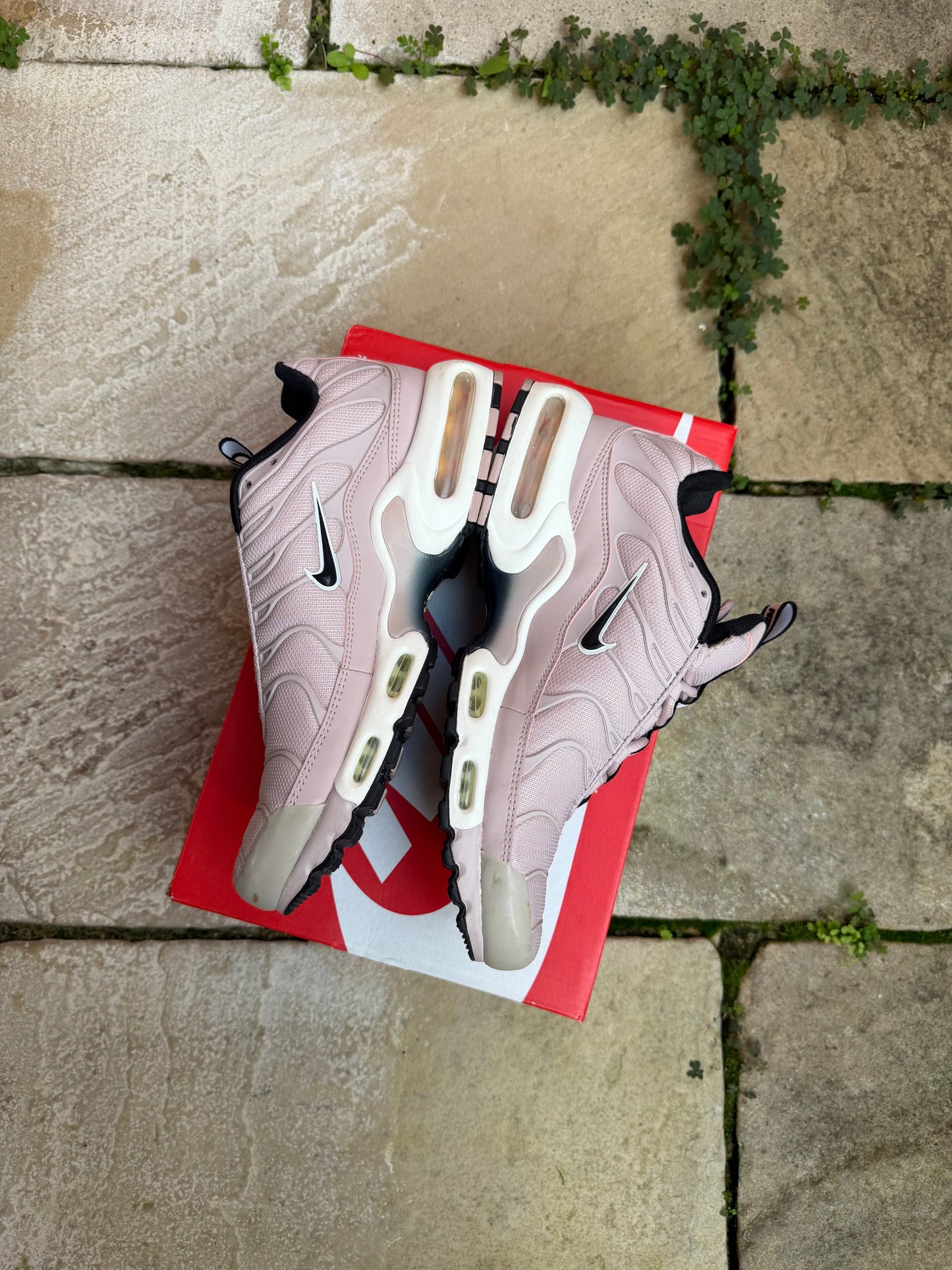 Nike Air Max Plus "Arctic Pink" US9 Men's