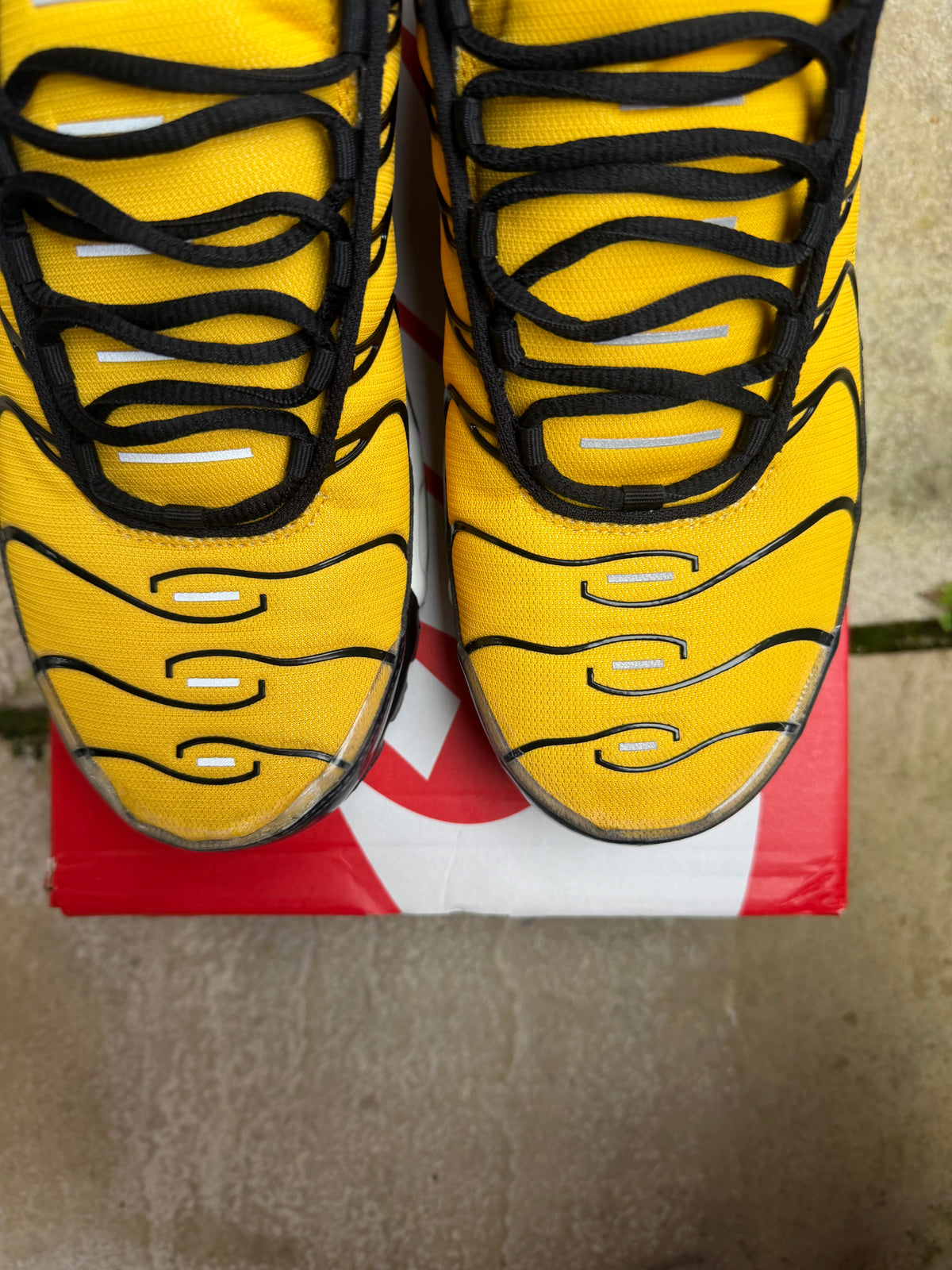 Nike Air Max Plus “Brazil” US11