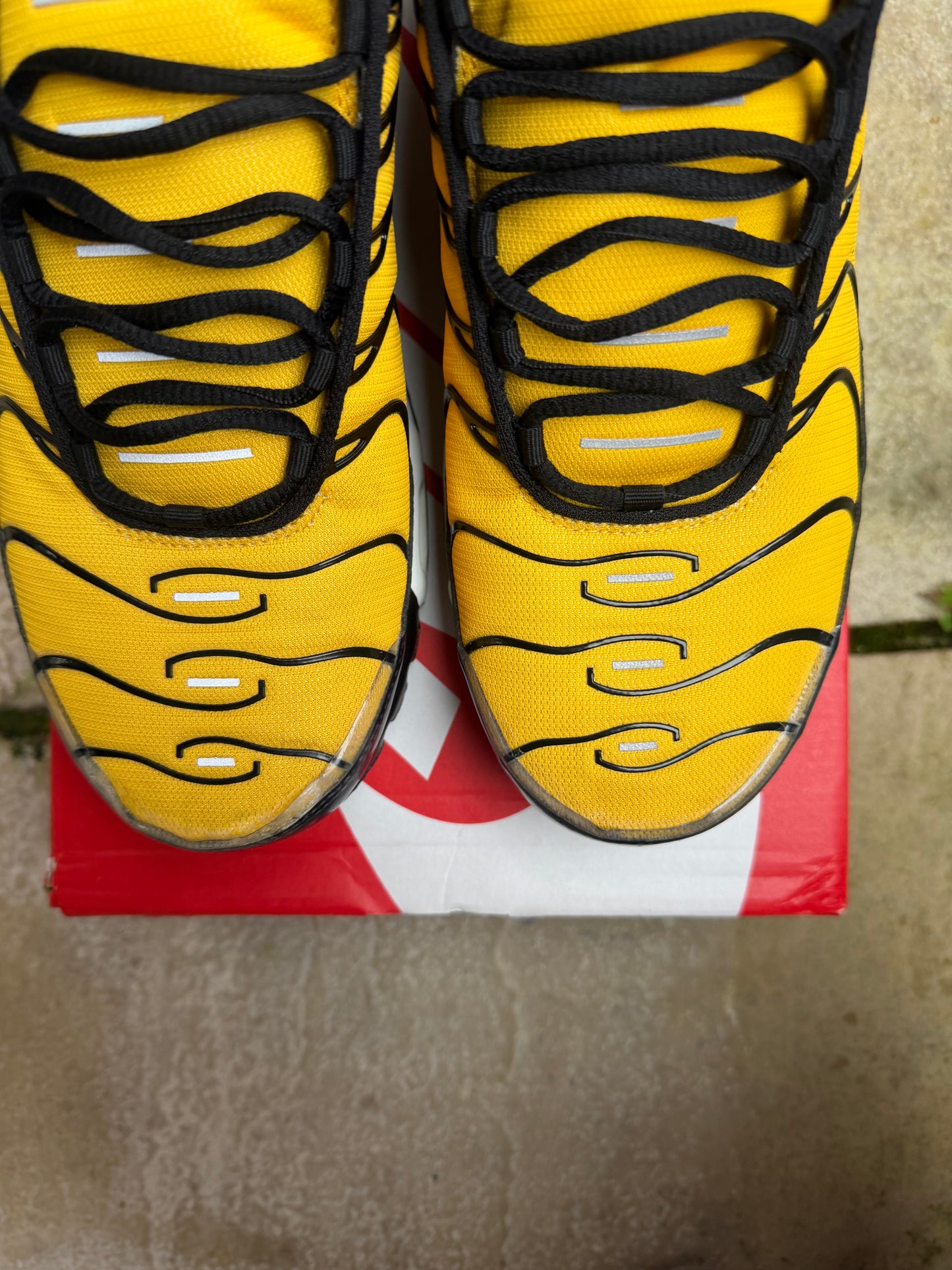 Nike Air Max Plus “Brazil” US11