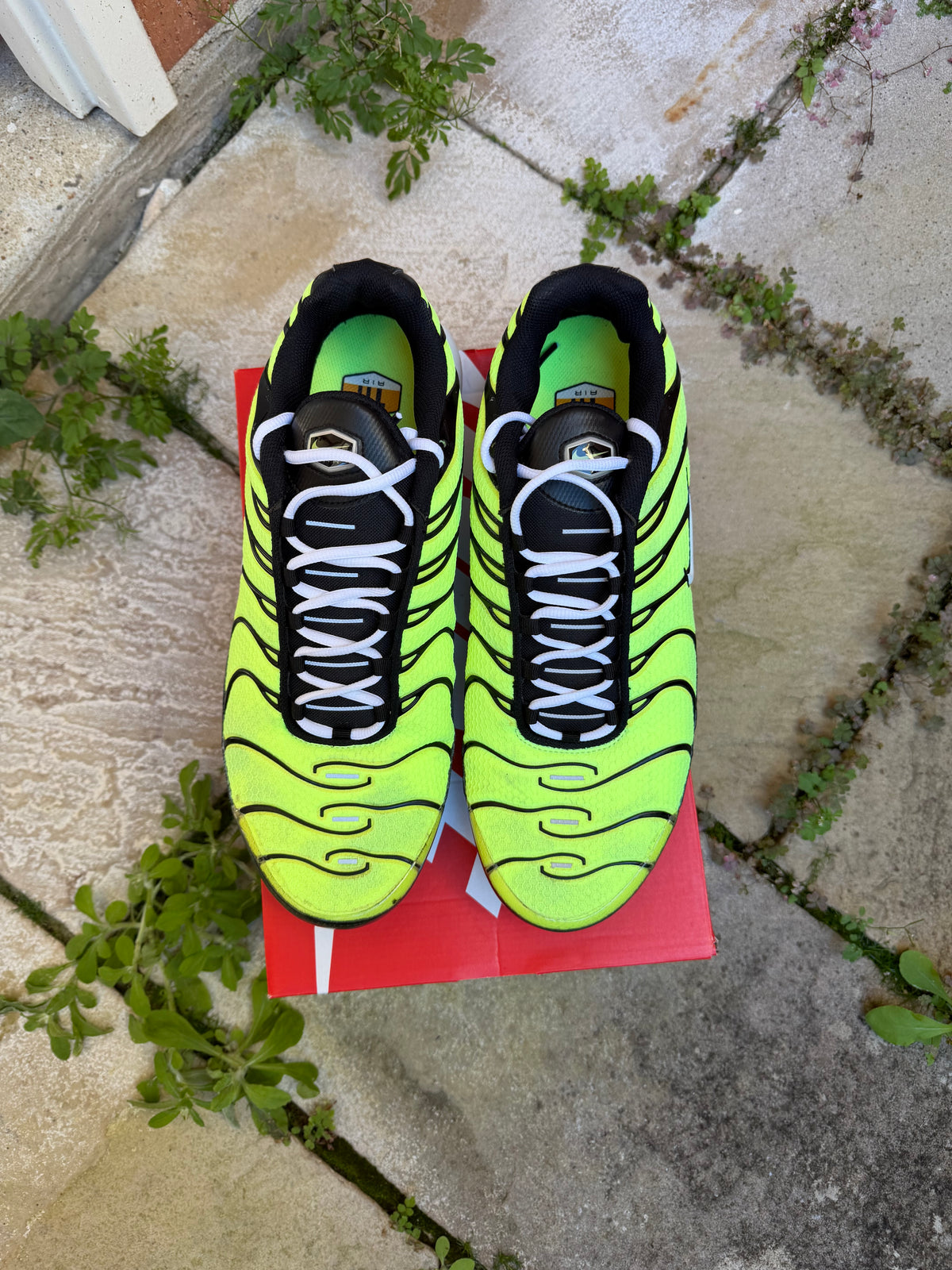 Nike Air Max Plus “Lime Green” US13 Men’s