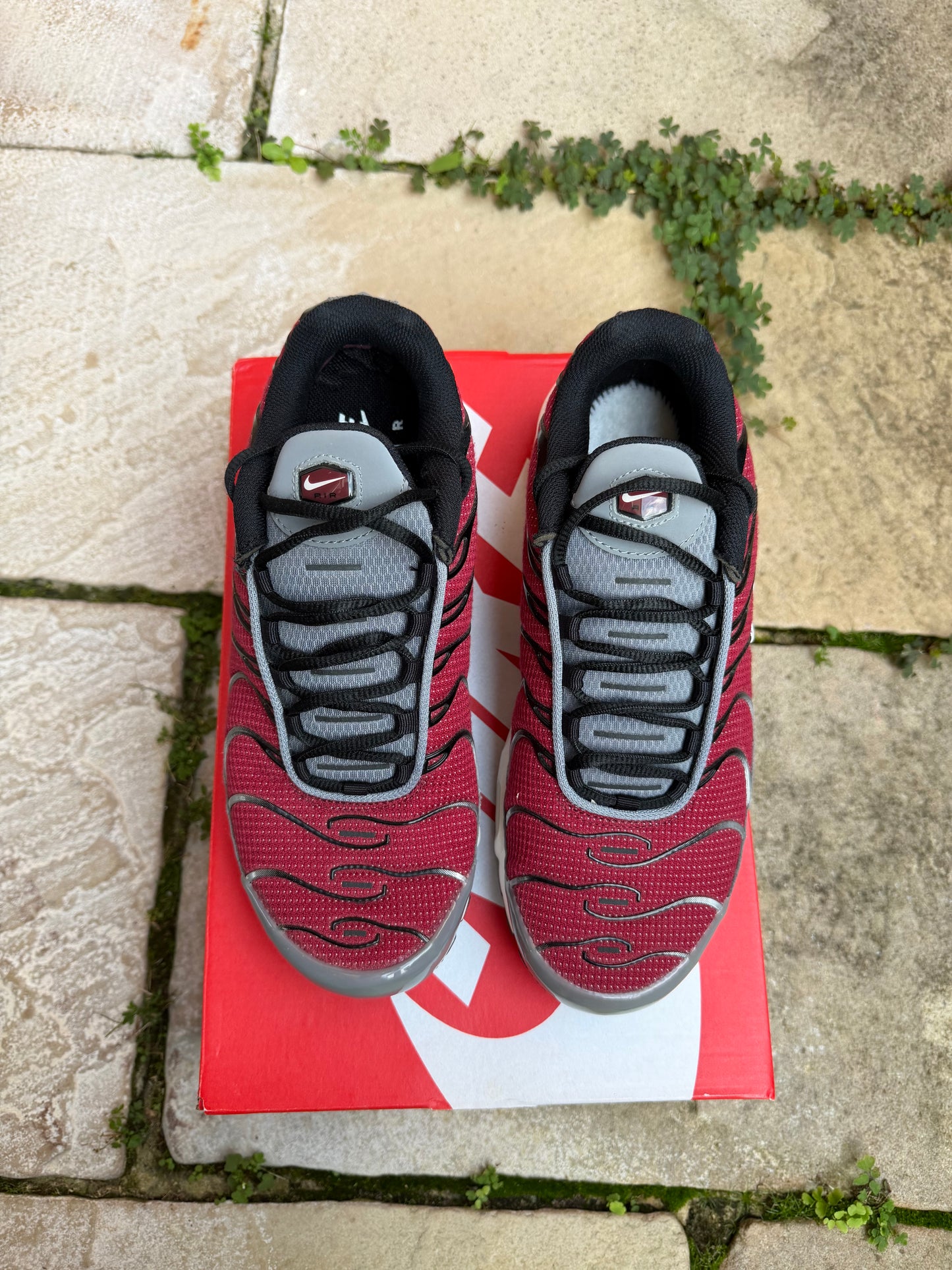 Nike Air Max Plus "Burgundy/ Team Red" US8 Men's