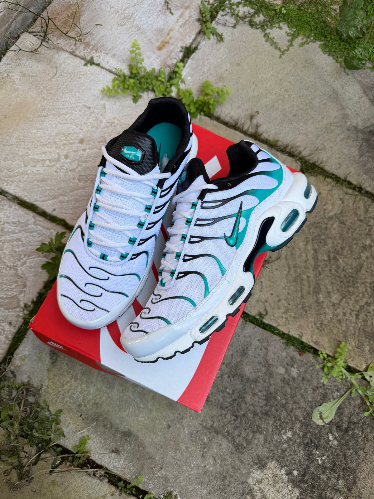 Nike Air Max Plus “Turbo” US10.5 Men’s