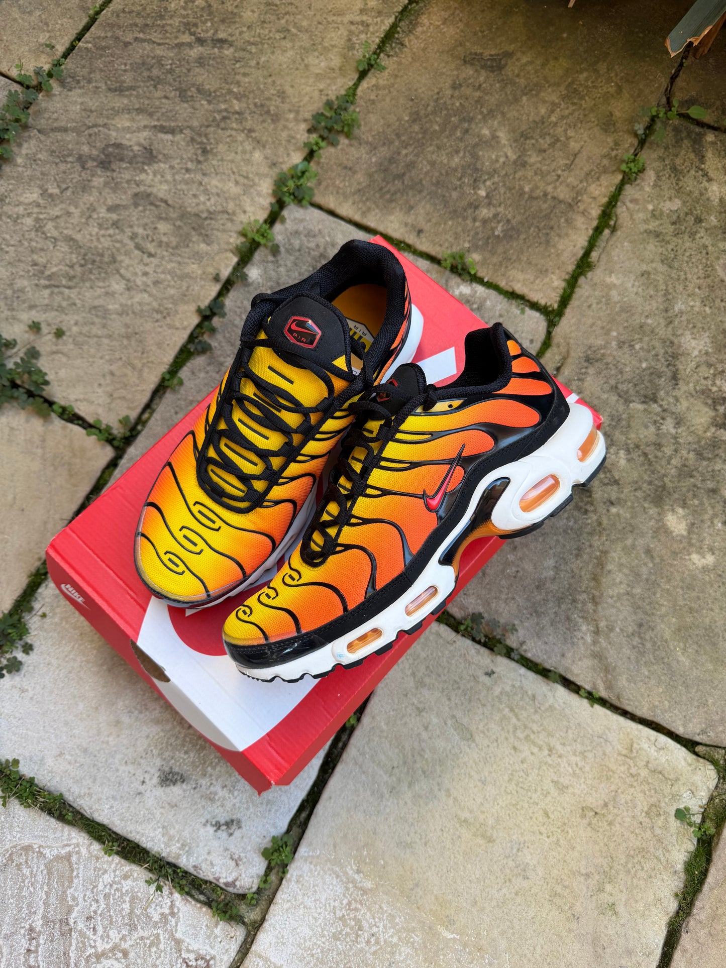 Nike Air Max Plus Tiger 2025 US8.5 Men's