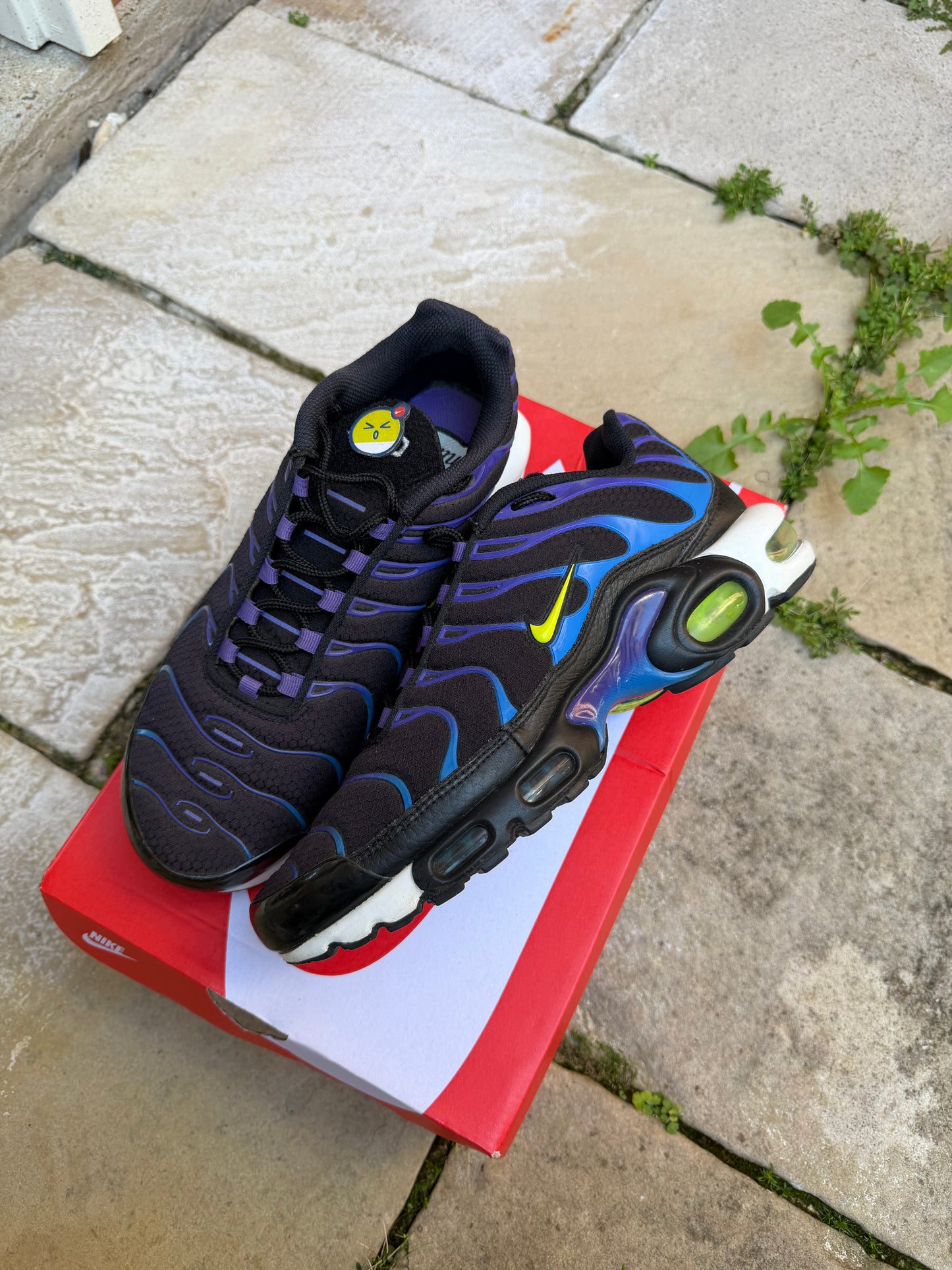 Nike Air Max Plus “Kaomoji” US8.5 Men’s