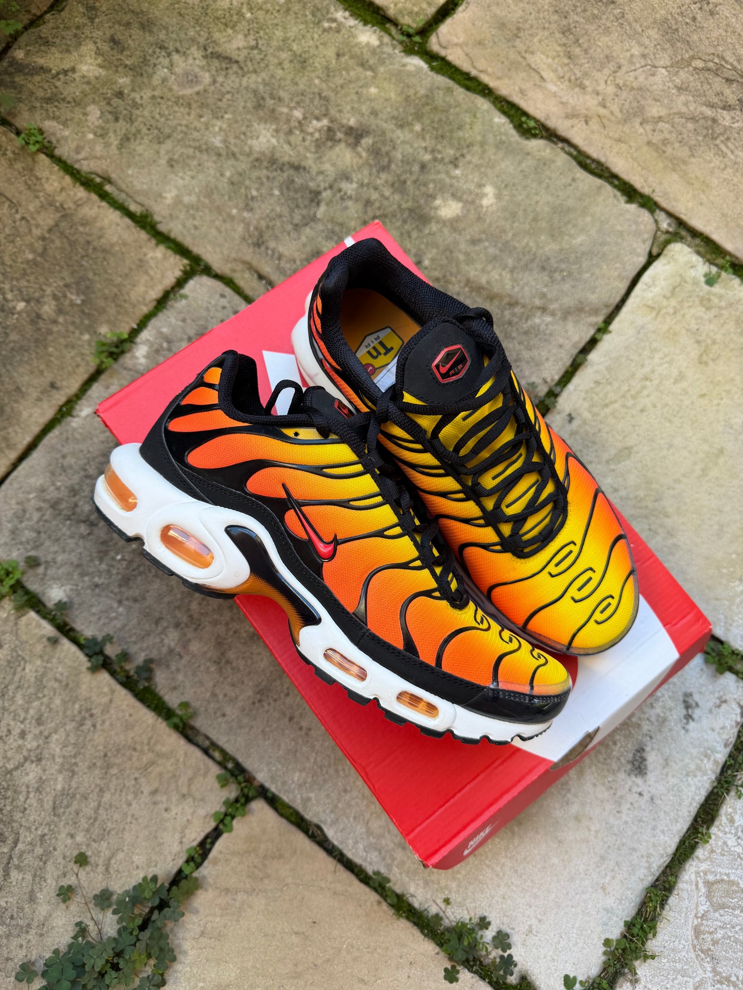 Nike Air Max Plus Tiger 2025 US8.5 Men's