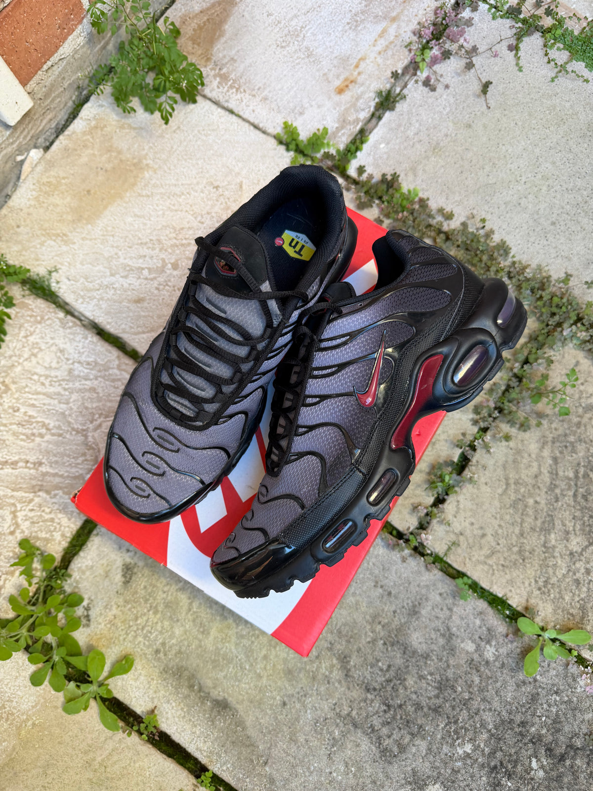 Nike Air Max Plus “Crimsons” US12 Men’s