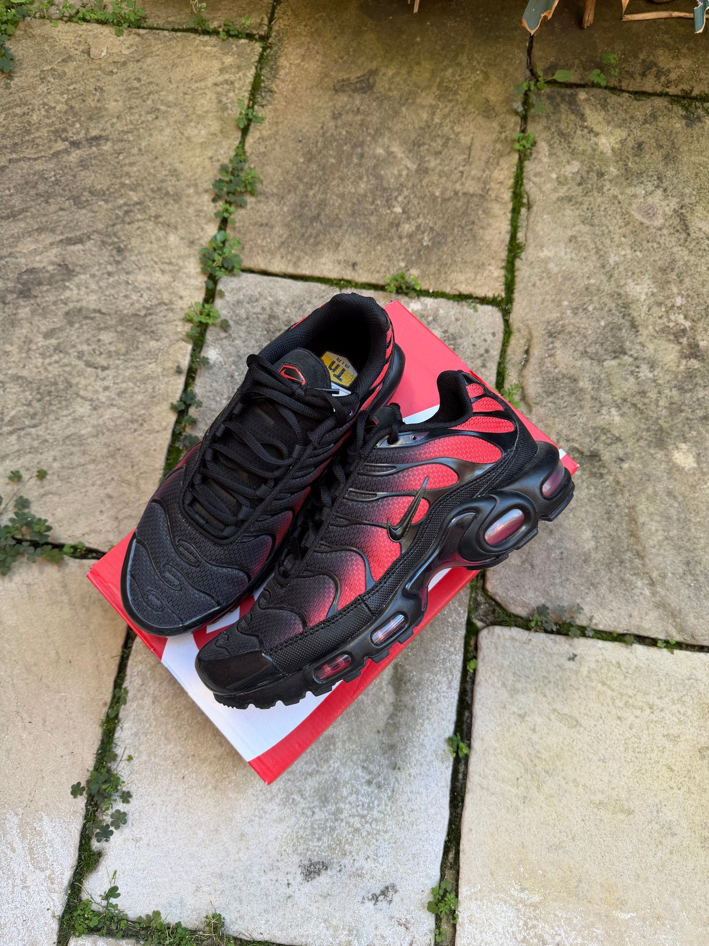 Nike Air Max Plus "Gradient Bred" US8.5 Men's