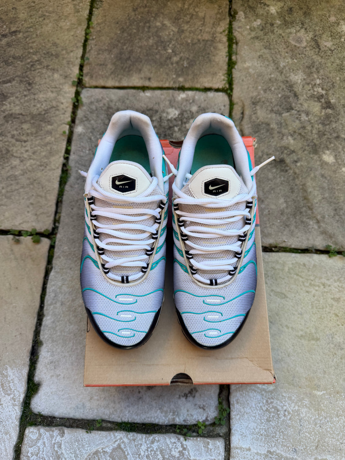 Nike Air Max Plus “Poisons” (2014) US9 Men’s
