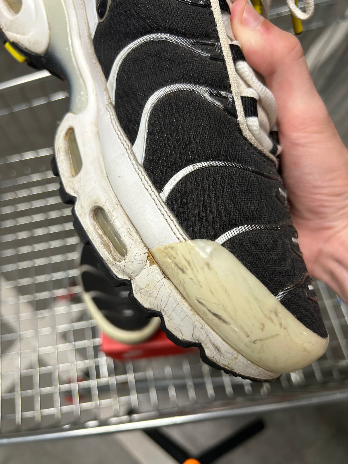 Nike Air Max Plus Killer Whales US12