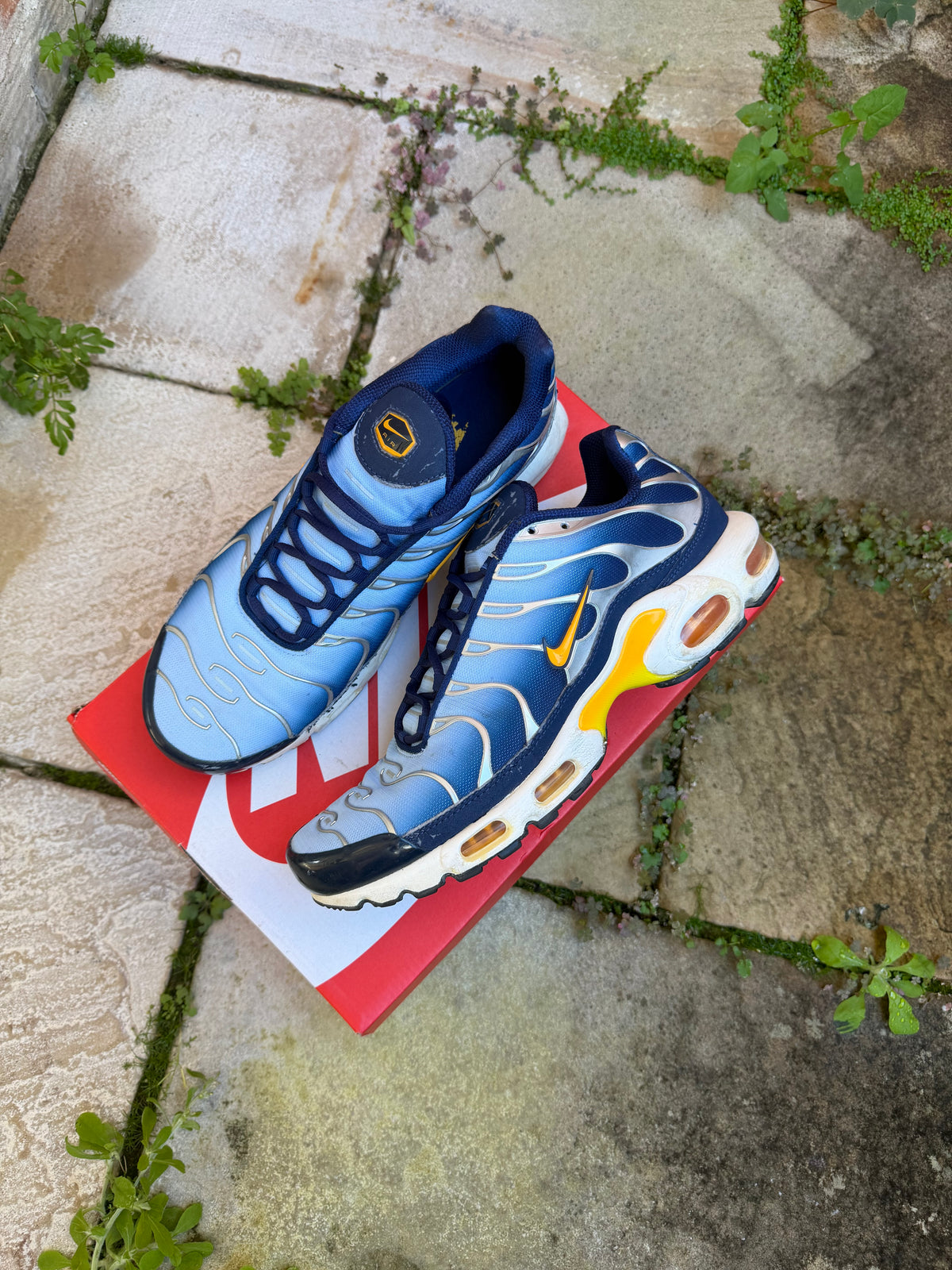 Nike Air Max Plus “Archive” US11 Men’s