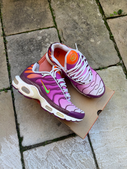 Nike Air Max Plus “Logan Berries” (2007) US10.5 Women’s/ 9 Men’s