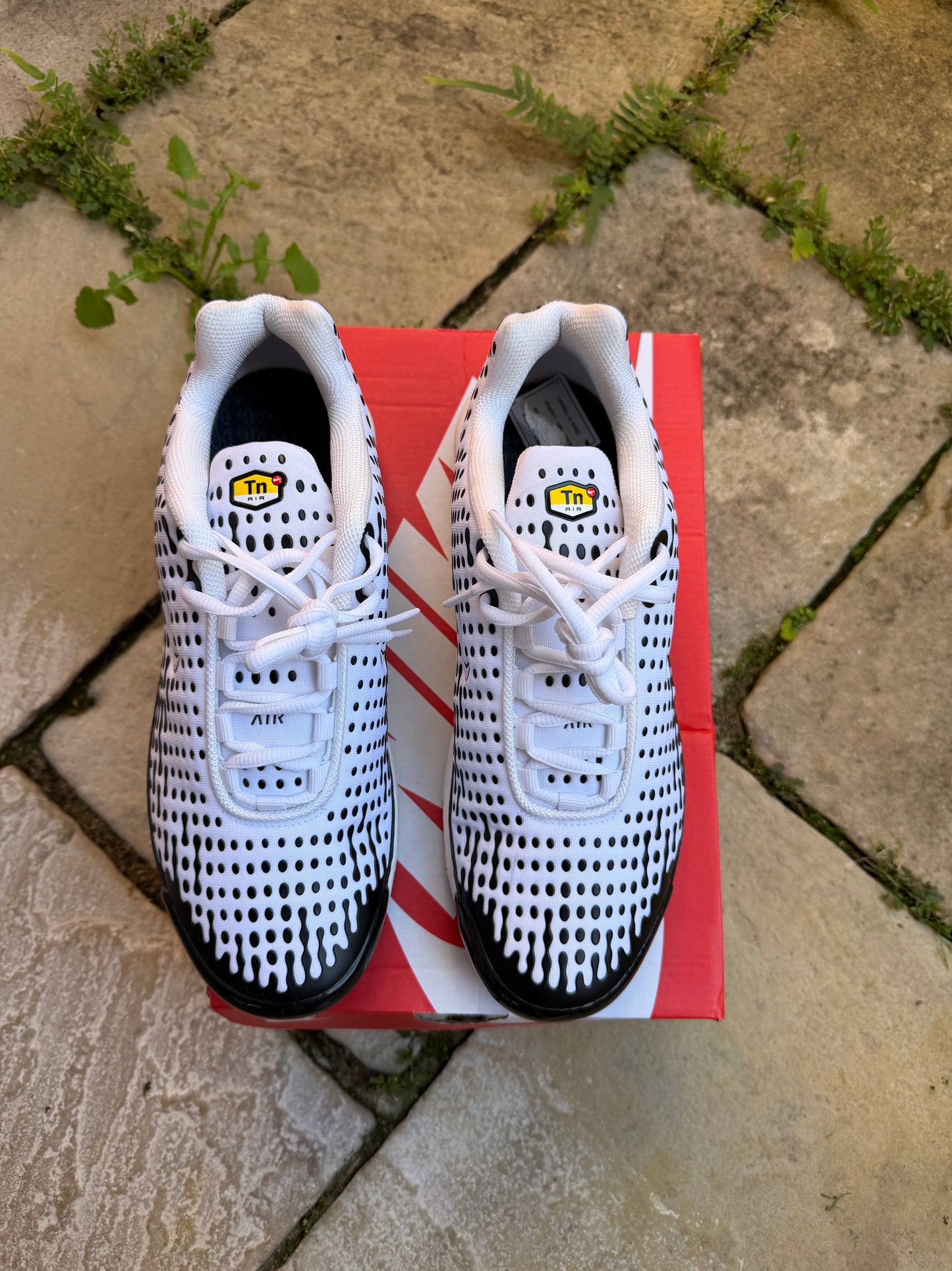 Nike Air Max Plus 7 “Panda” US10 Men’s