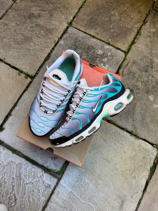 Nike Air Max Plus “Poisons” (2014) US9 Men’s