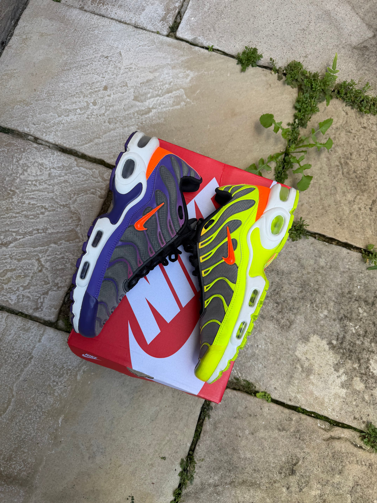 Nike Air Max Plus “Dark Colourflips” US9 Men’s