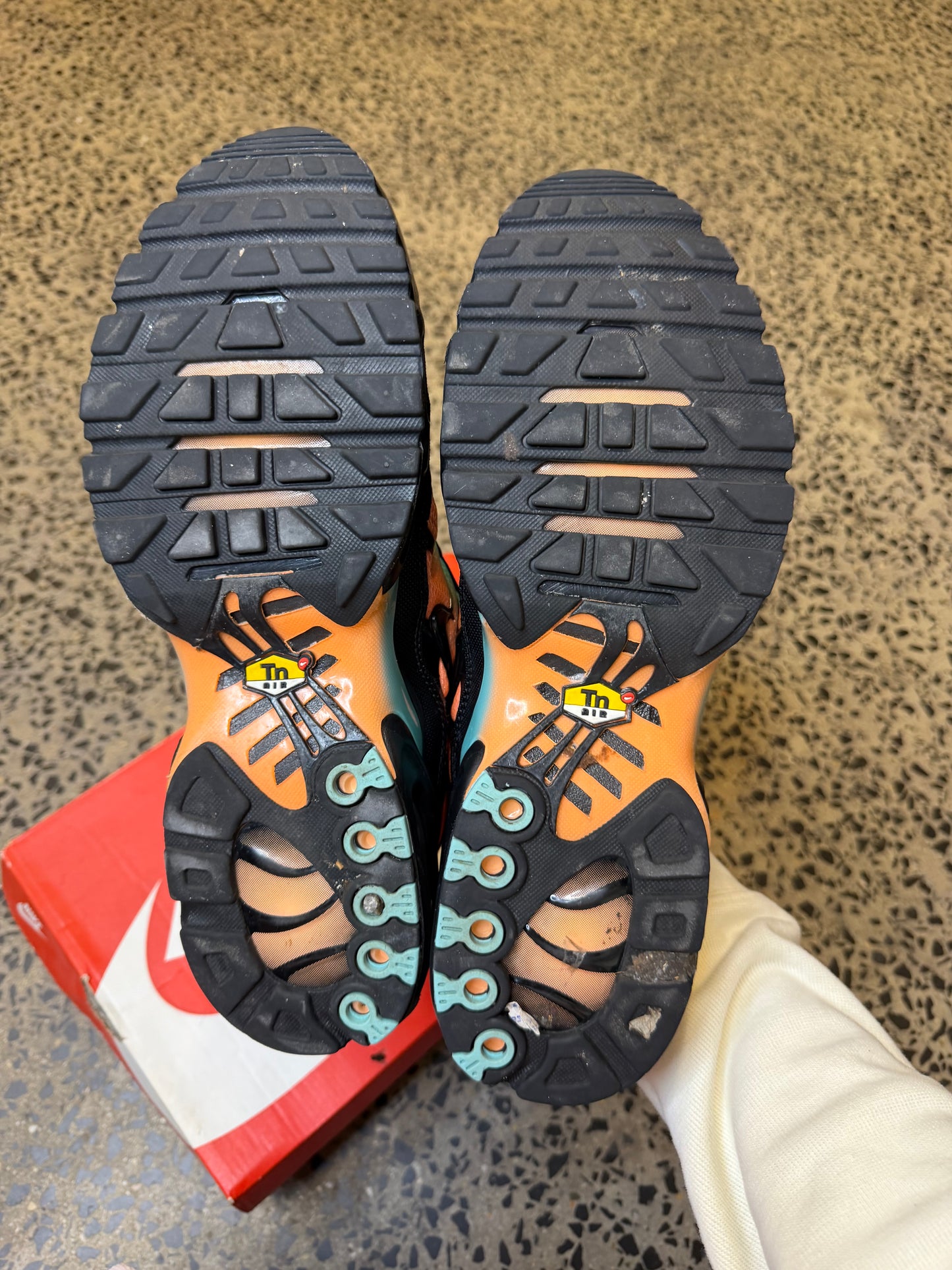 Nike Air Max Plus South Beach US12 Men's