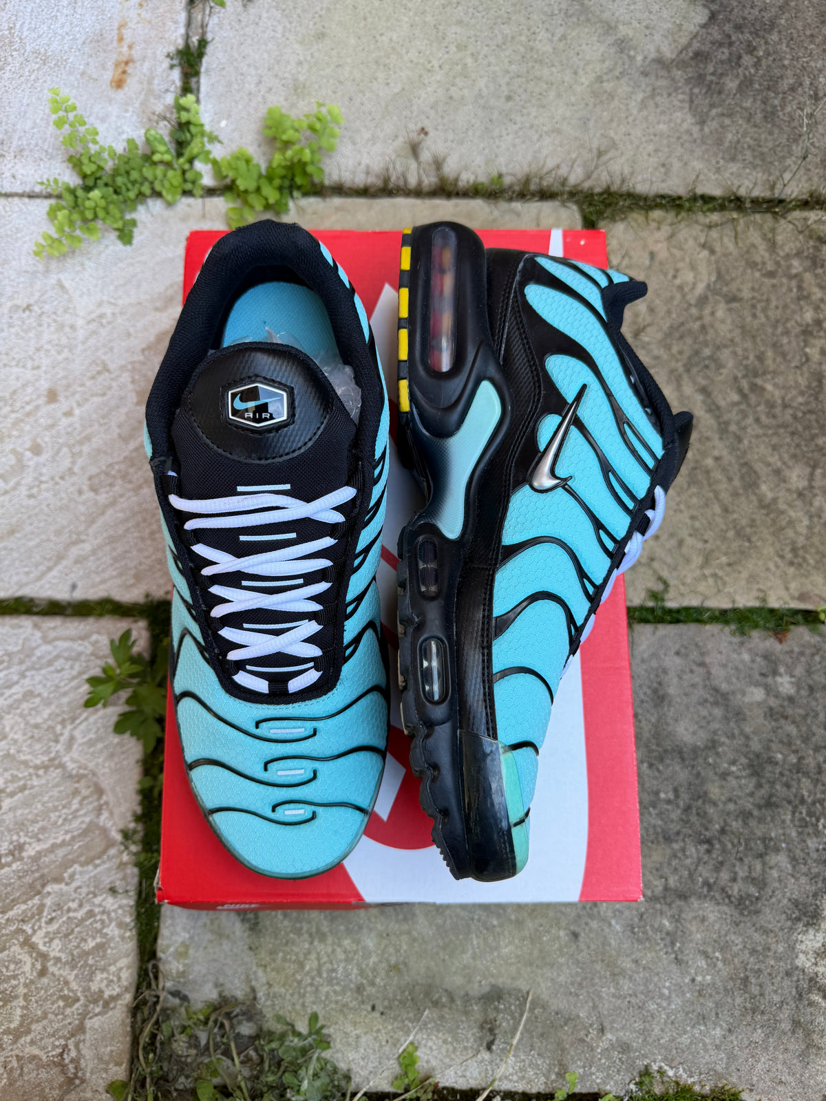 Nike Air Max Plus "Dark Tiffany" US10 Men's