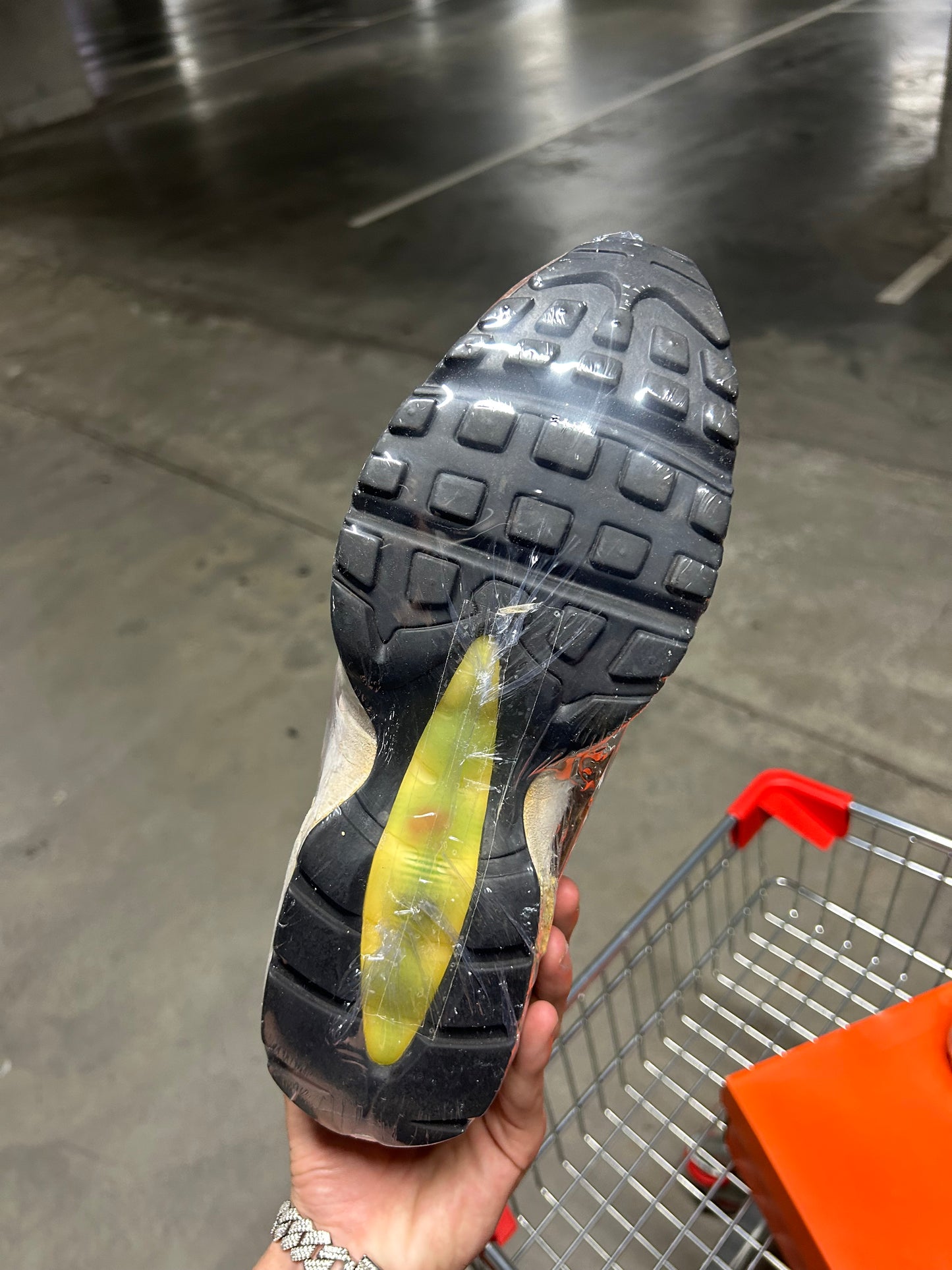 Nike Air Max 95 ATMOS Animal Pack (2006) US9.5