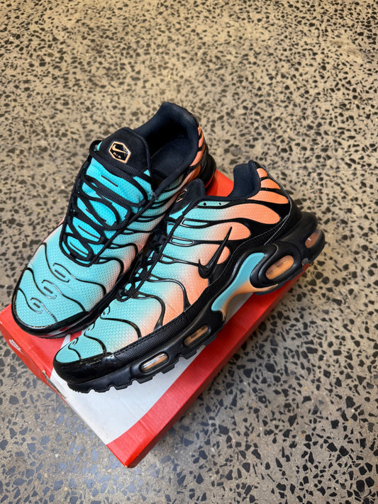 Nike Air Max Plus South Beach US12 Men's