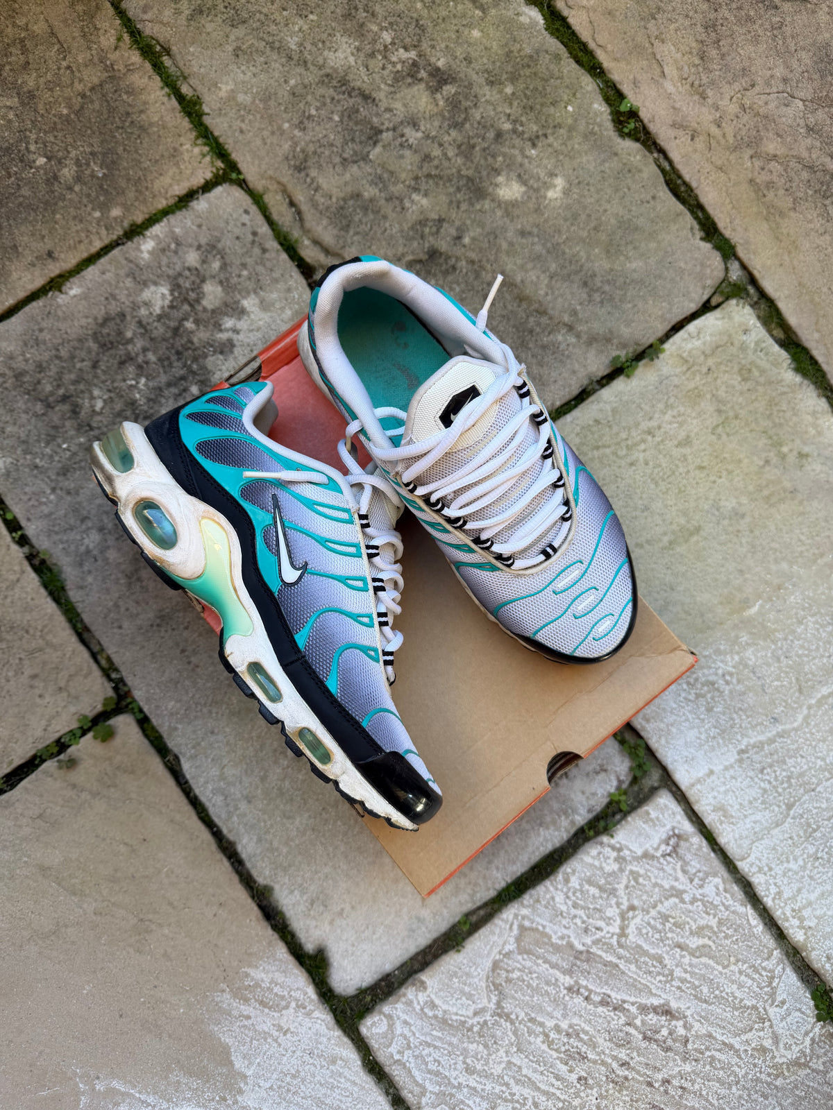 Nike Air Max Plus “Poisons” (2014) US9 Men’s