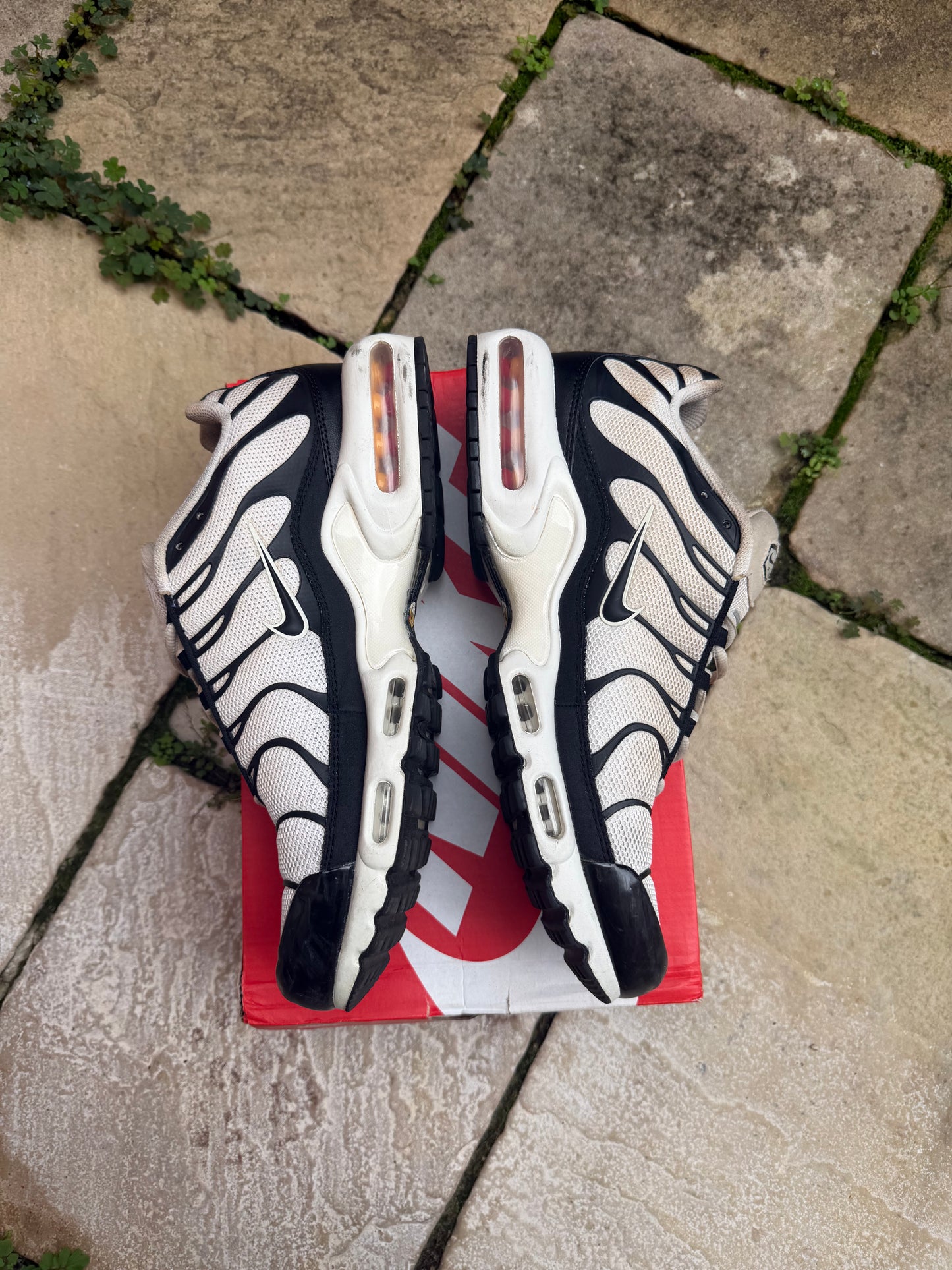 Nike Air Max Plus "Panda" US12 Men's