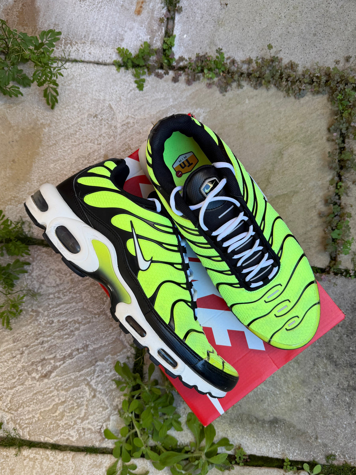 Nike Air Max Plus “Lime Green” US13 Men’s