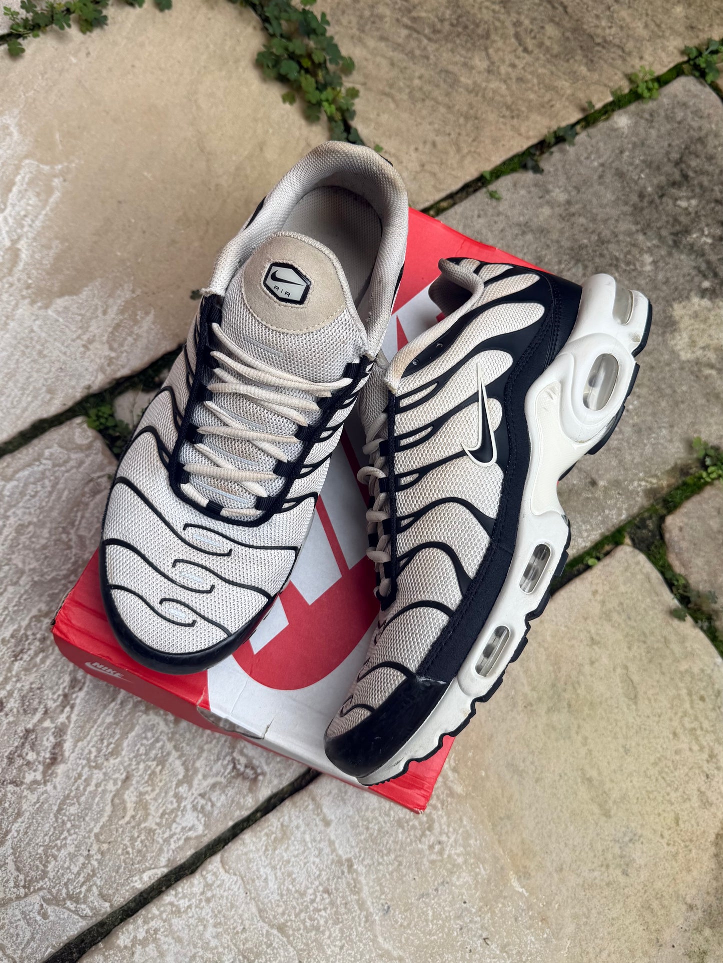 Nike Air Max Plus "Panda" US12 Men's