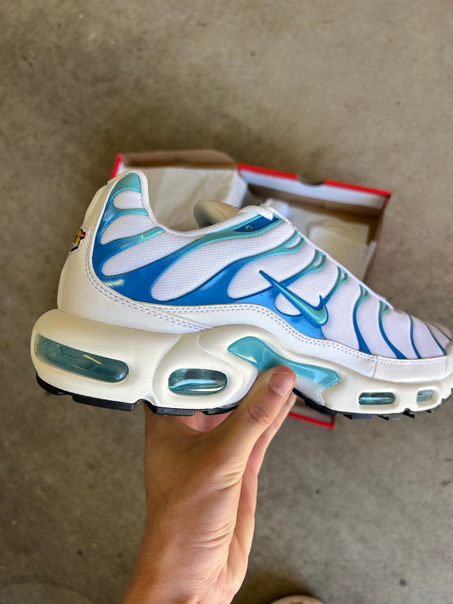 Nike Air Max Plus Dreams US10.5 Men’s