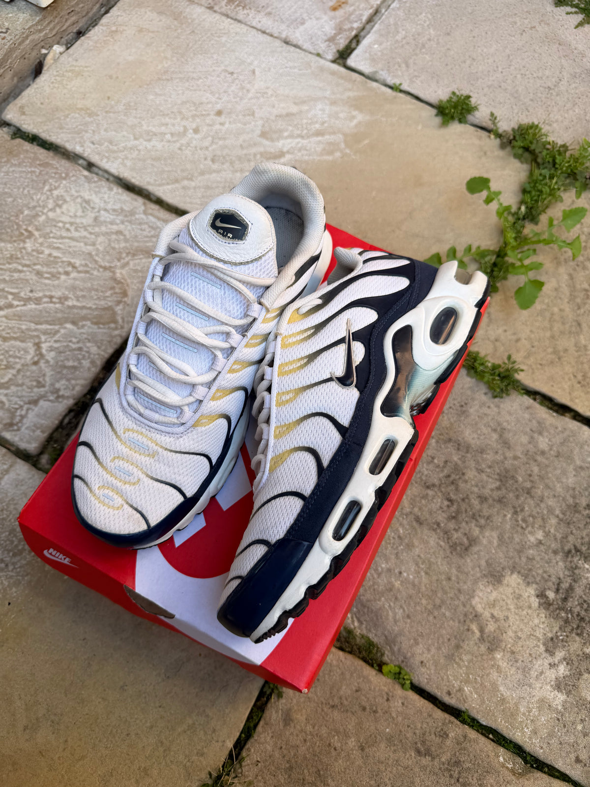 Nike Air Max Plus “Tottenham” US10.5 Men’s