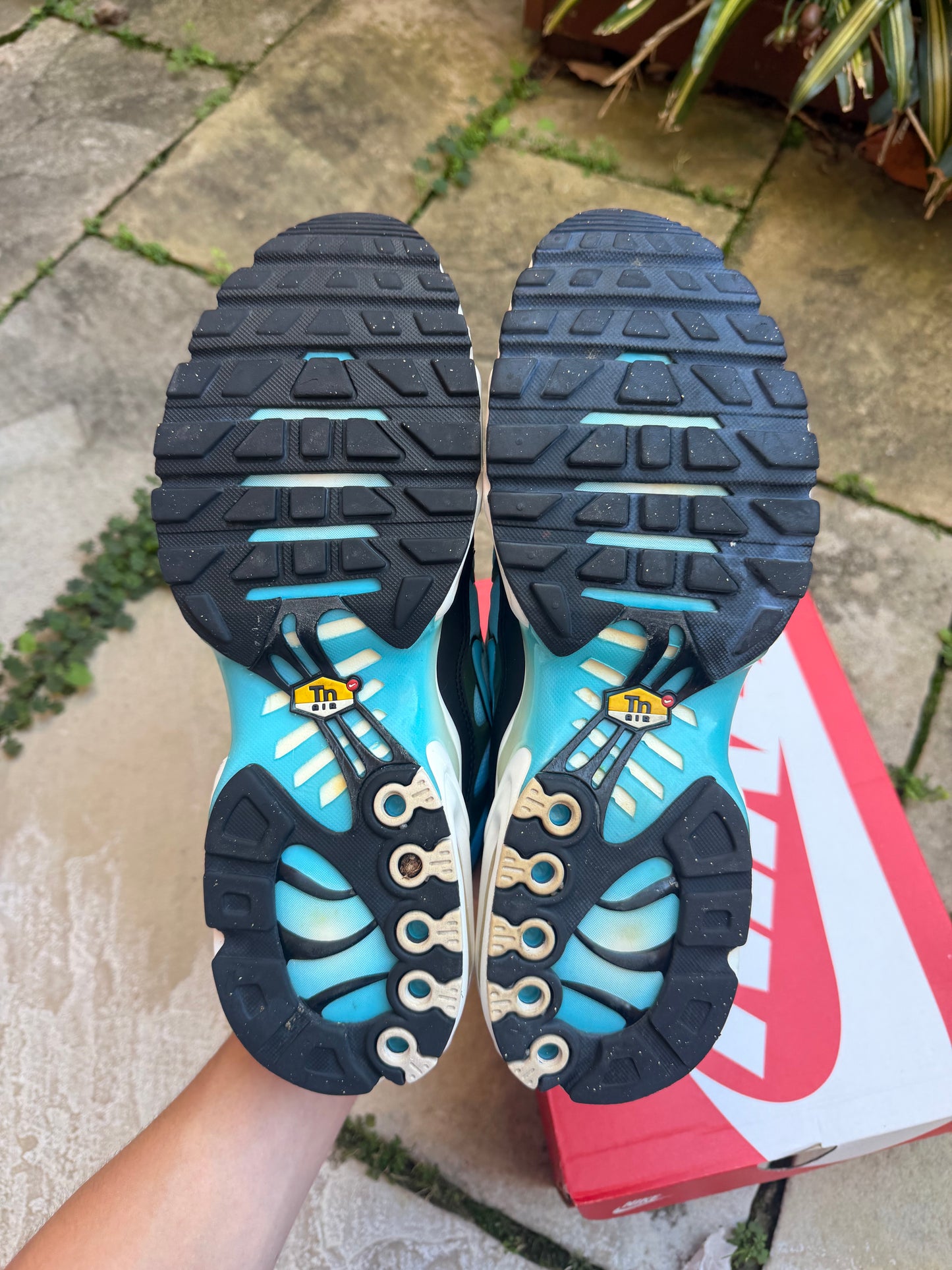 Nike Air Max Plus "Baltic Blue" US11.5 Men's