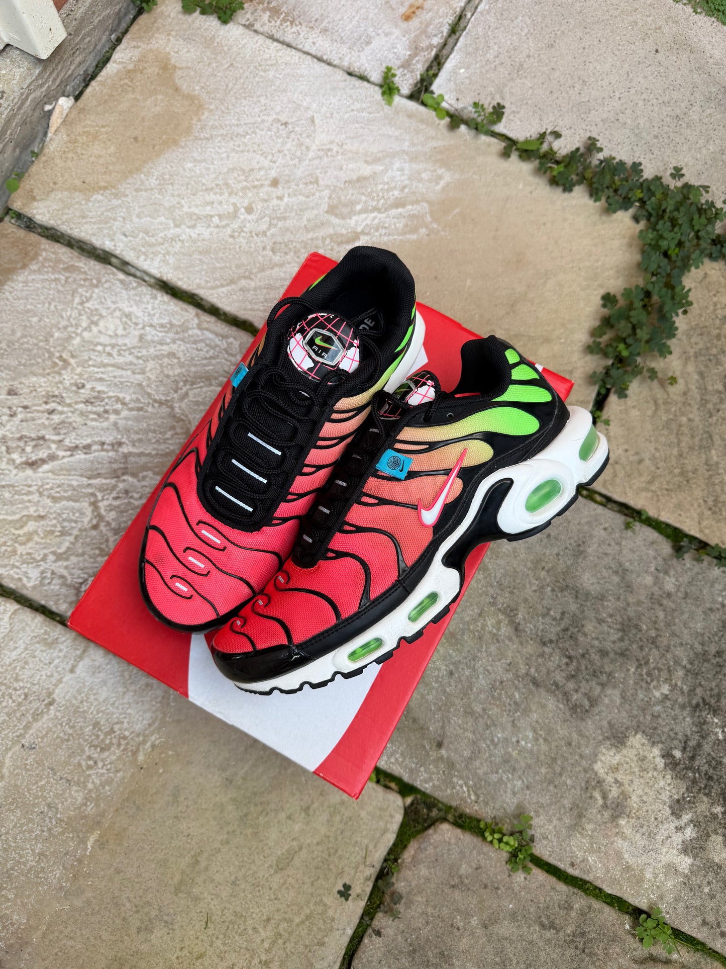 Nike Air Max Plus "Dark WorldWide" US9 Men's