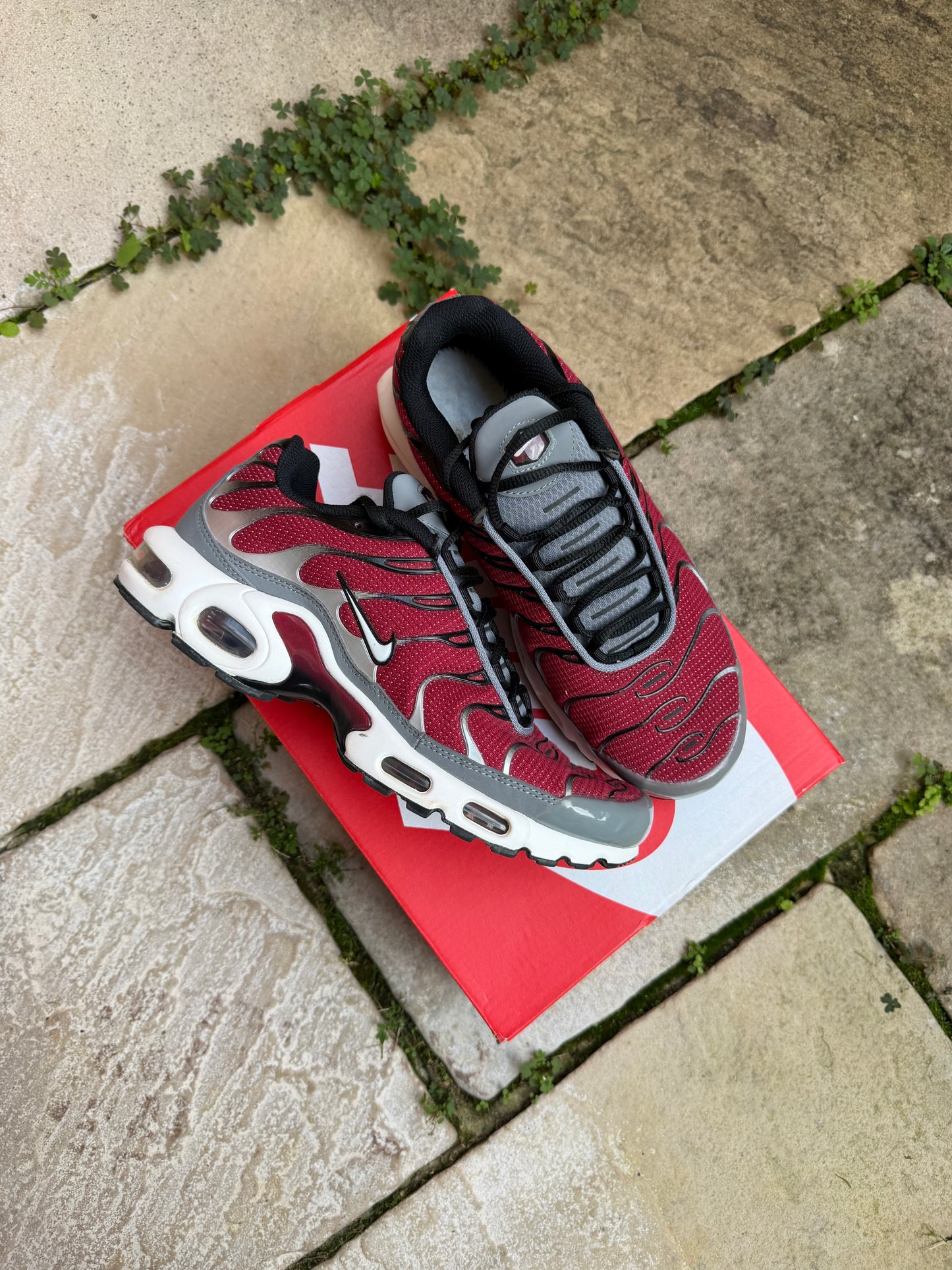 Nike Air Max Plus "Burgundy/ Team Red" US8 Men's