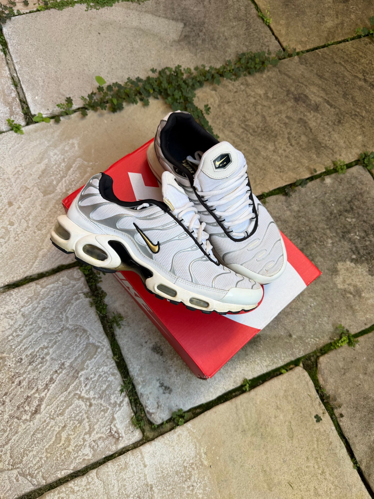 Nike Air Max Plus "Gold Trophies" (2013) US8.5 Men's