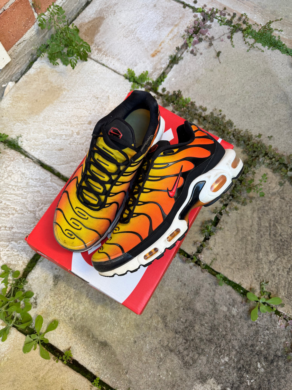 Nike Air Max Plus “Tiger” (2024) US10 Men’s