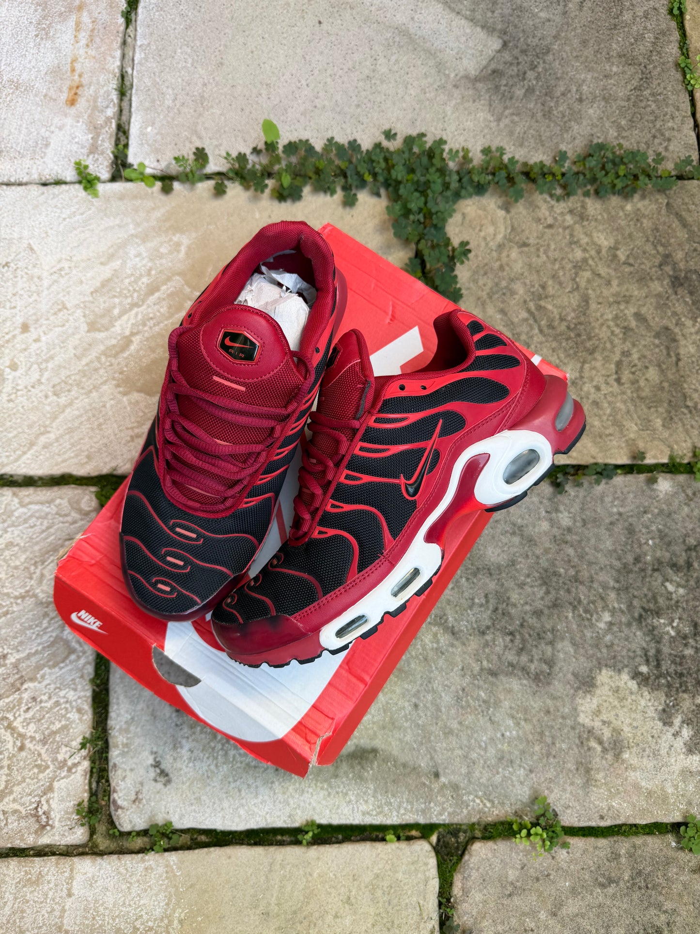 Nike Air Max Plus "Chile Red" US9 Men's