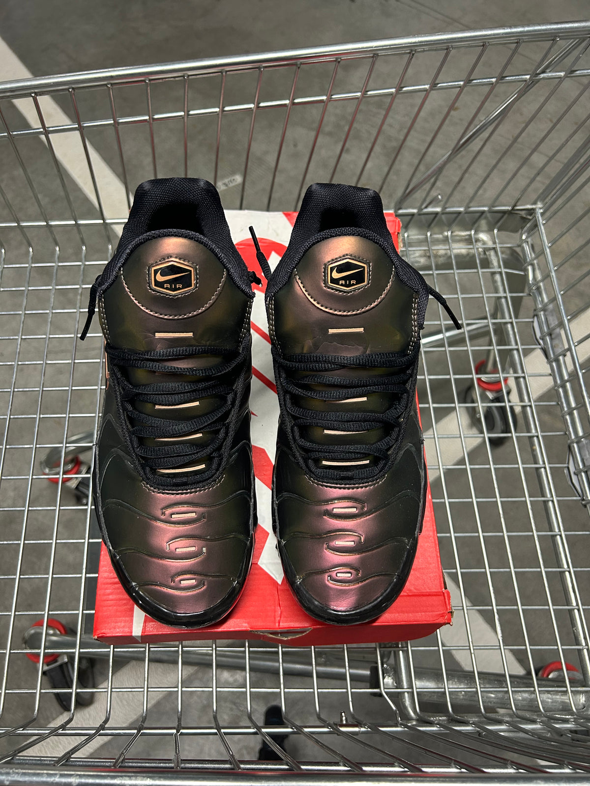 Nike Air Max Plus Scarabs Men’s US10