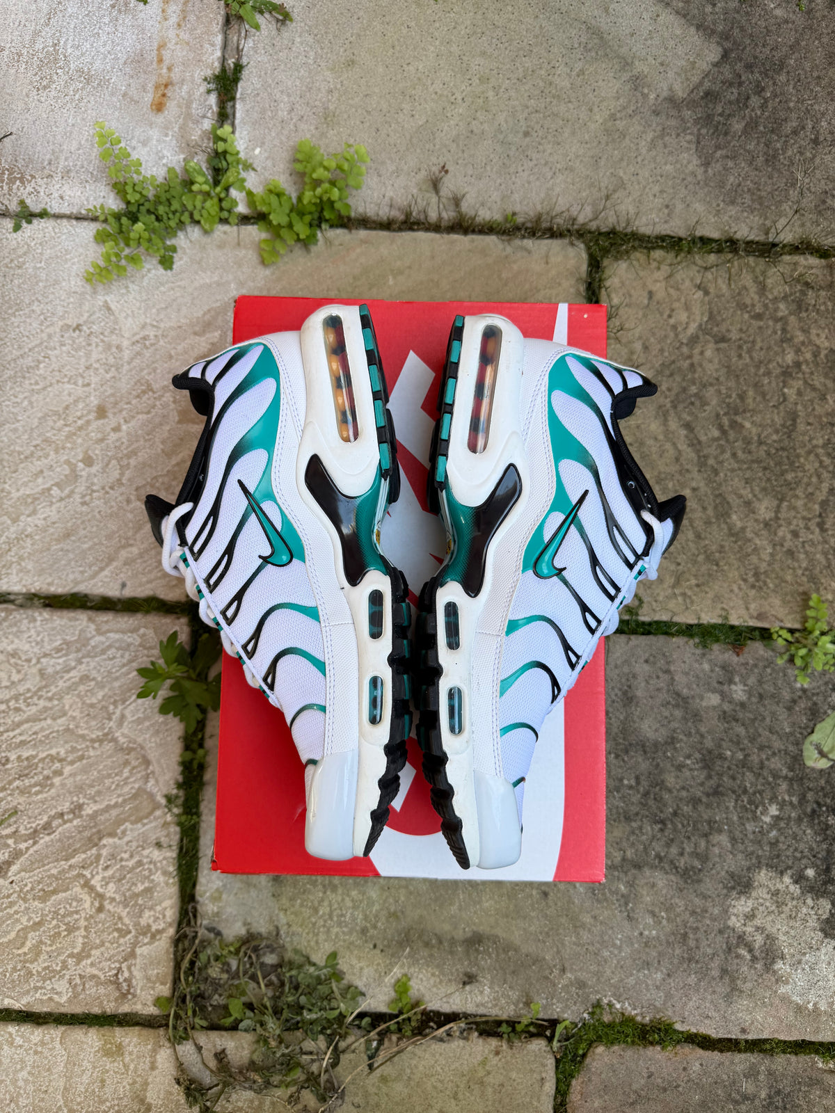Nike Air Max Plus “Turbo” US10.5 Men’s