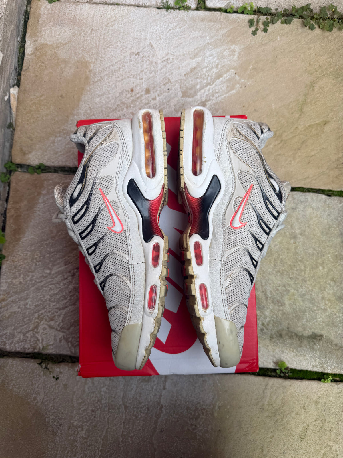 Nike Air Max Plus “Tropical Punch” US10 Men’s