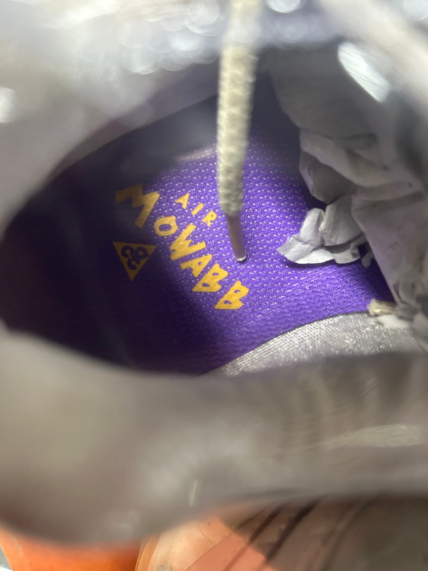 Nike Air Max 95 Mowabb (2004) US10 women’s