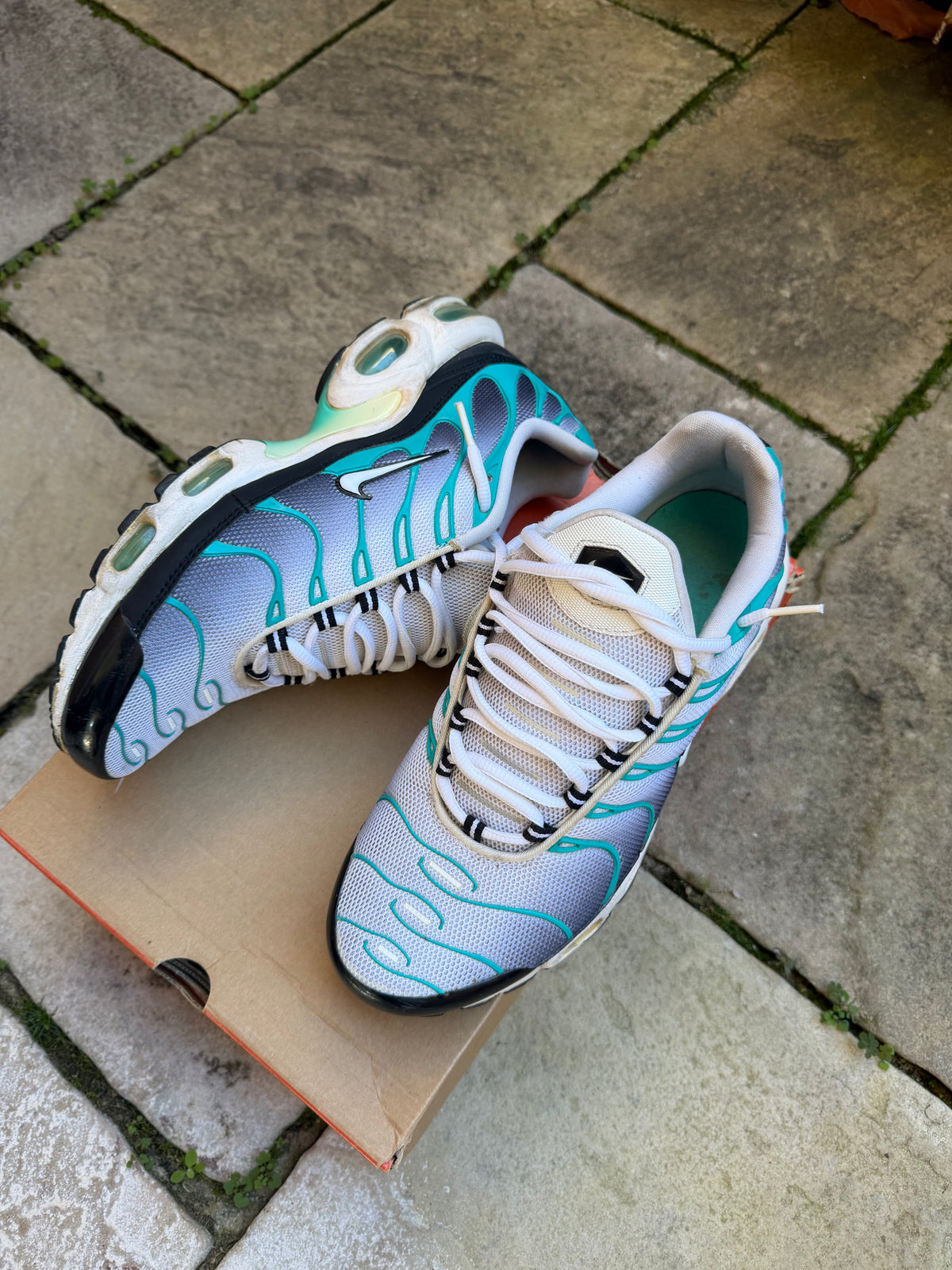 Nike Air Max Plus “Poisons” (2014) US9 Men’s