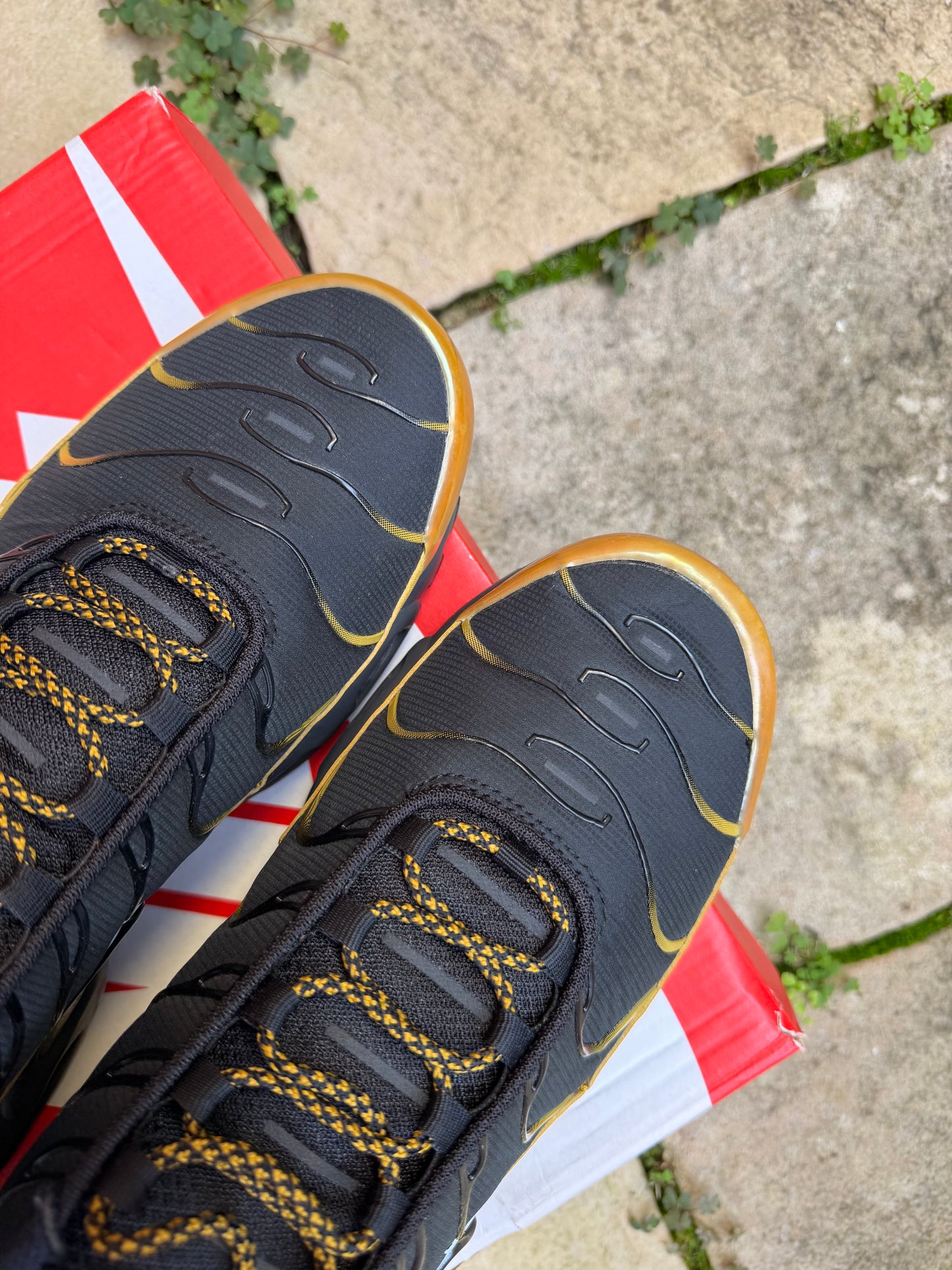 Nike Air Max Plus "Black Bronzine" US10 Men's