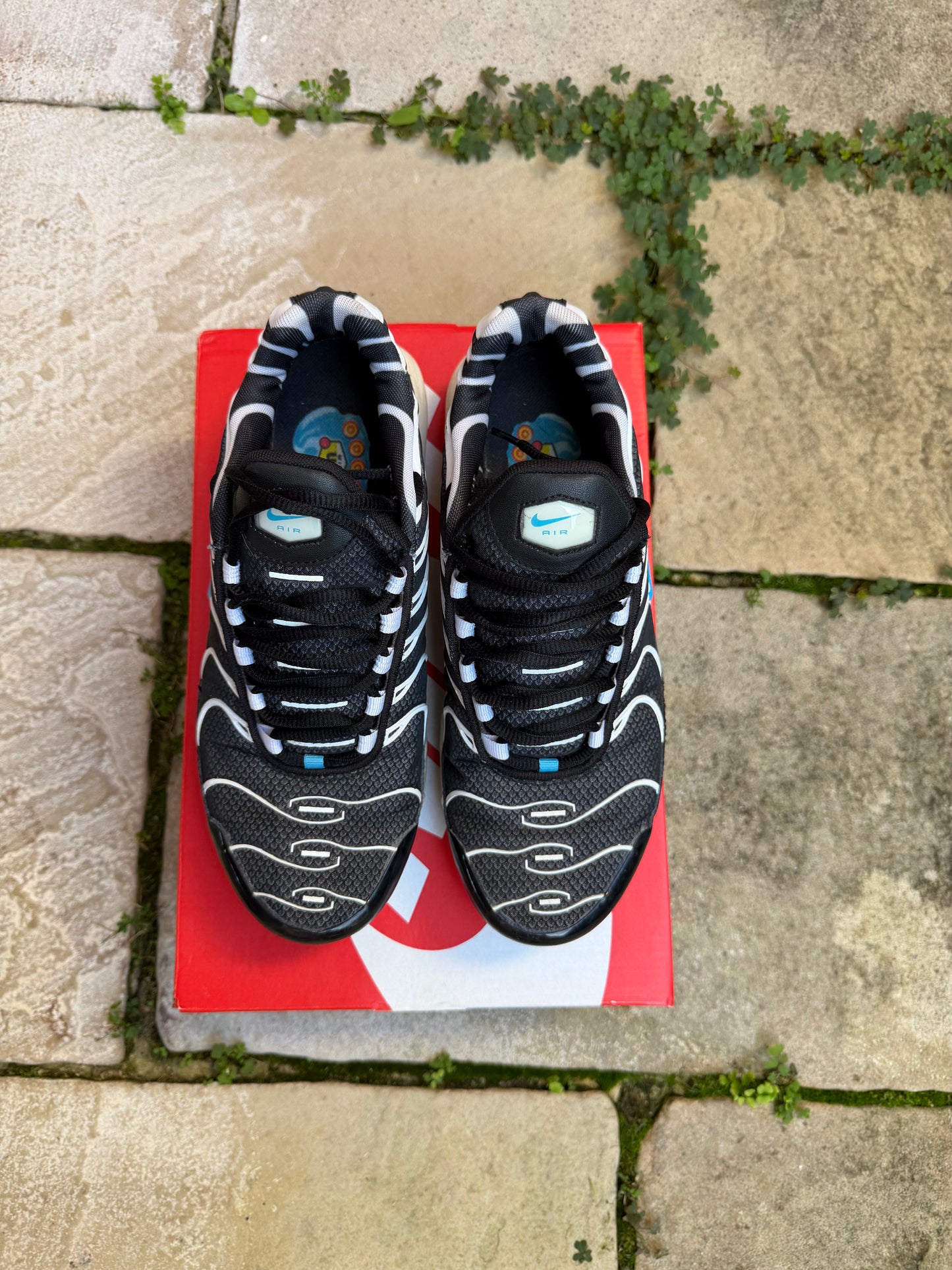 Nike Air Max Plus "Vivid" (2013) US8.5 Men's