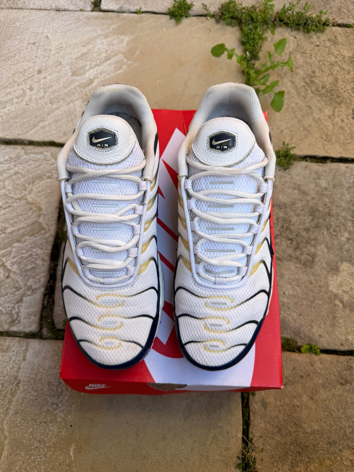 Nike Air Max Plus “Tottenham” US10.5 Men’s